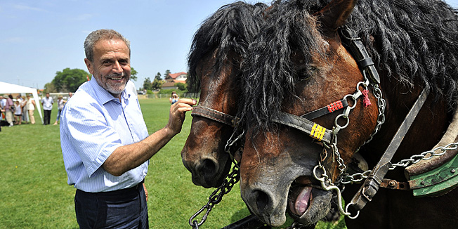 Klostar Ivanic, 220613.Sportski park, Zagrebacka ulica bb.Odrzana 11. drzavna i 16. zupanijska izlozba izvornih i zasticenih pasmina konja.Na slici: Gradolnacelnik Milan Bandic.Foto: Damir Krajac / CROPIX