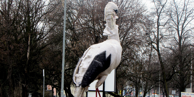 Slavonski Brod, 020314.Petometarska figura rode nedaleko brodskog zeljeznickog i autobusnog kolodvora, svojevrsni pozdrav i prvi dojam putnicima opet se nasla na meti vandala. Roda je ocerupana, polomljen joj je kljun, cvijece djelomice unisteno Na taj nacin, umjesto dobro zamisljenog projekta TZ Slavonskog Broda Cvjetna dobrodoslica, putnicima se salje sasvim druga poruka, poruka o nekulturi i vandalskom ponasanju za sada nepoznatih osoba. Ovo je vec drugi puta u nekoliko mjeseci da se skulptura nalazi na meti huligana. Prvi puta su to ucinili u listopadu kada su uglavnom unistili cvijece, za razliku od nedjeljnog pohoda kada su rodi otkinuli kljun te osjetno ostetili vrat i trup. Foto: Zeljko Muzevic / CROPIX