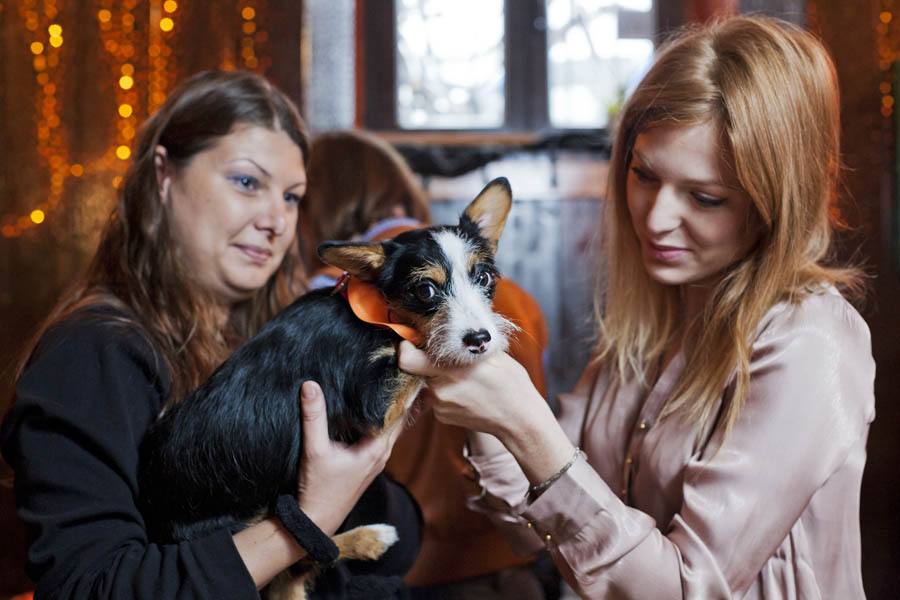 Zagreb, 241112.Udruga za zastitu zivotinja, Daj Sapu, Vukovar, organizirala je u kaficu Kolaz druzenje sa svrhom promicanja rada udruge pod nazivom 