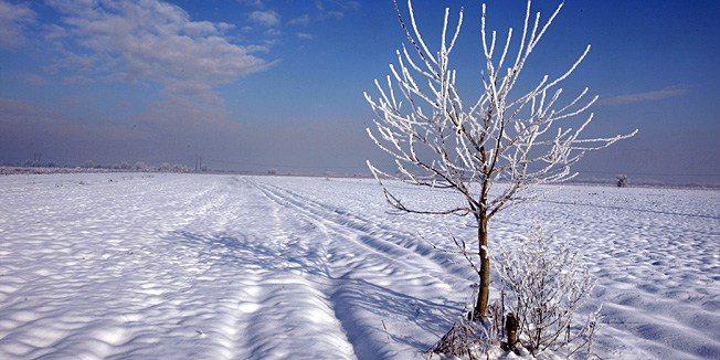 Varazdin, 111212.Sjever Hrvatske jutros je bio najhladniji dio zemlje, temperature su bile oko minus 15 stupnjeva celzijevih. Varazdinci su se omotali u kape i salove, dok je inje omotalo drvece.Foto: Zeljko Hajdinjak / Cropix