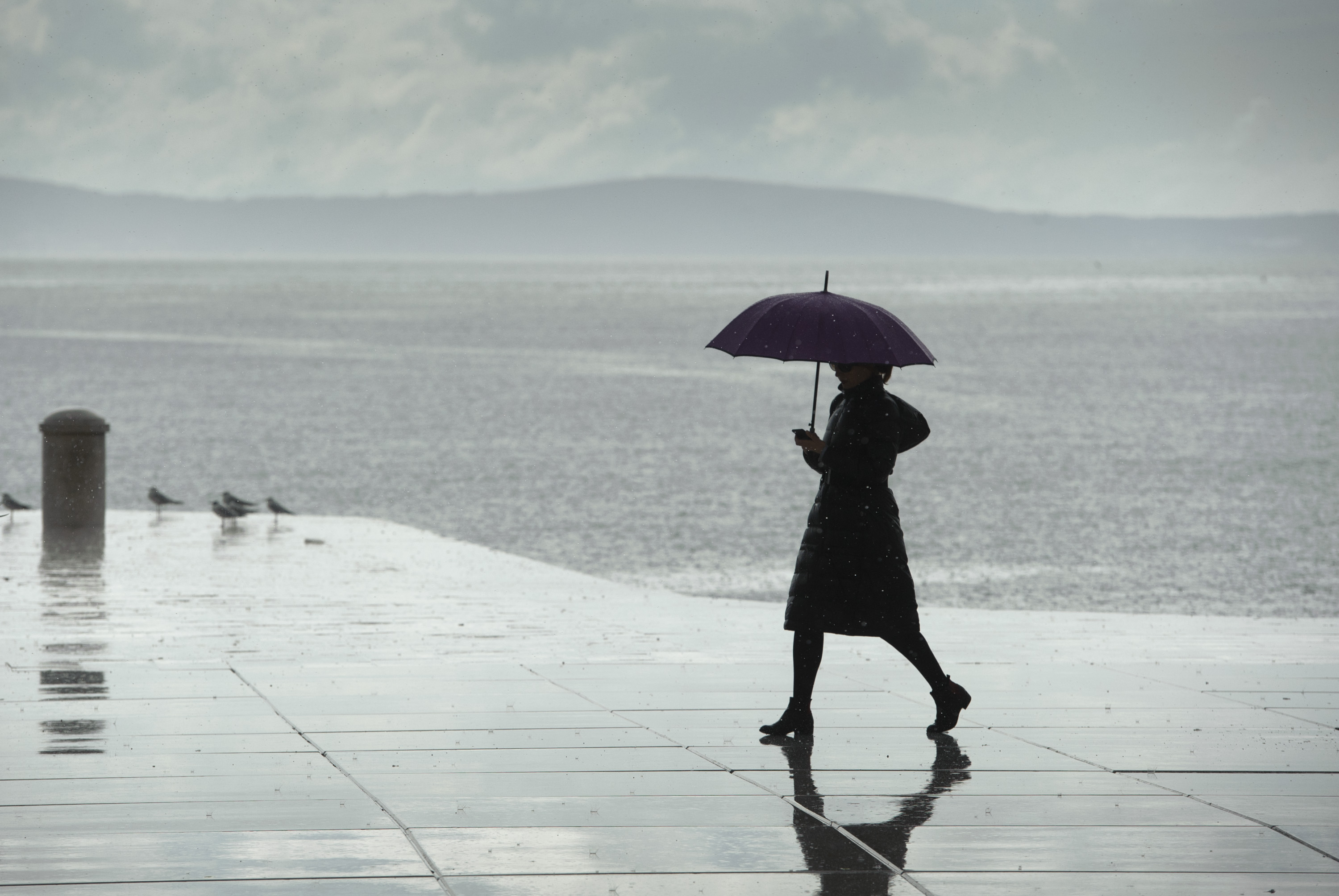 Tom Dubravec / CROPIX