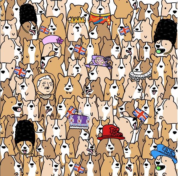 kraljica korgiji mozgalica