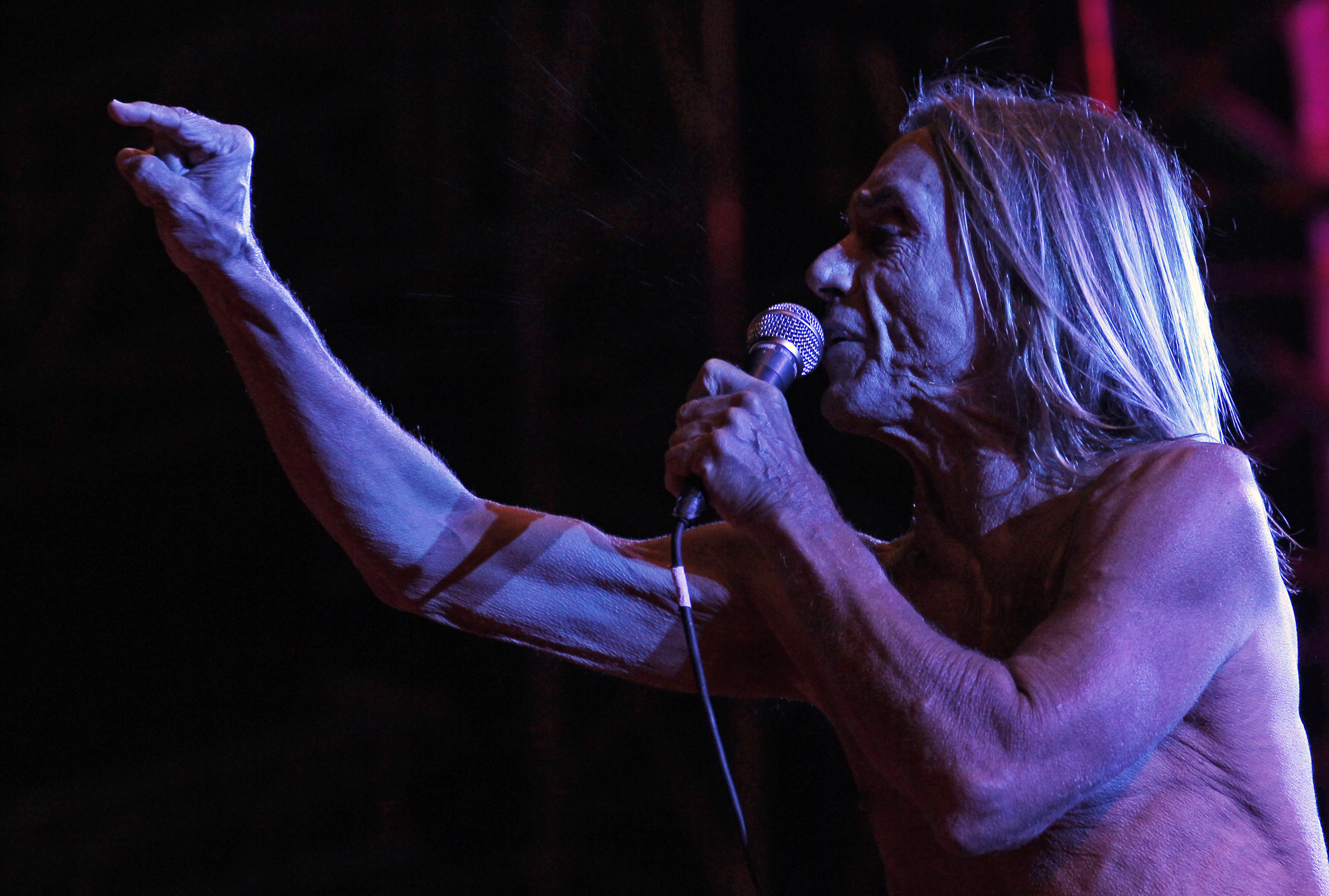 Iggy Pop