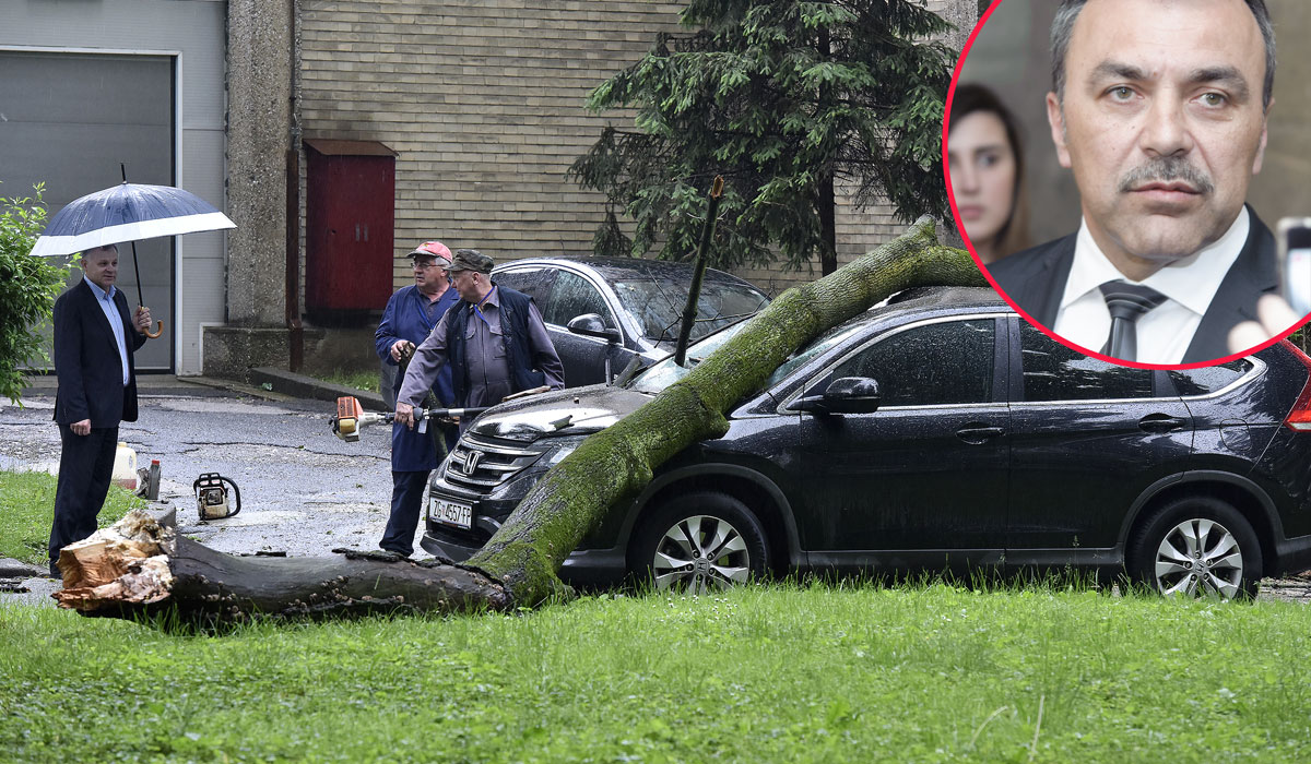 grana_auto13-1205161