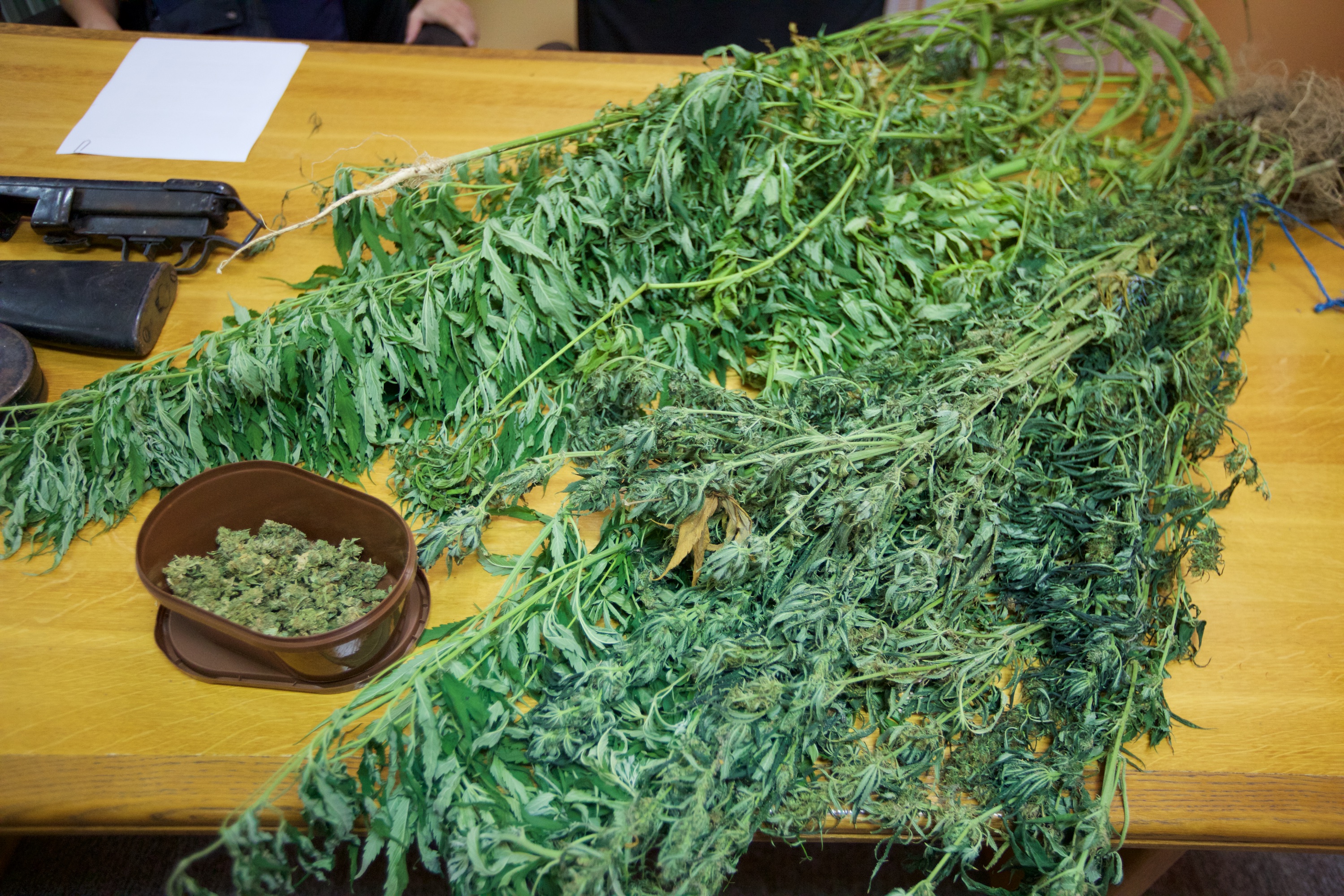 droga_oruzje-230715 226