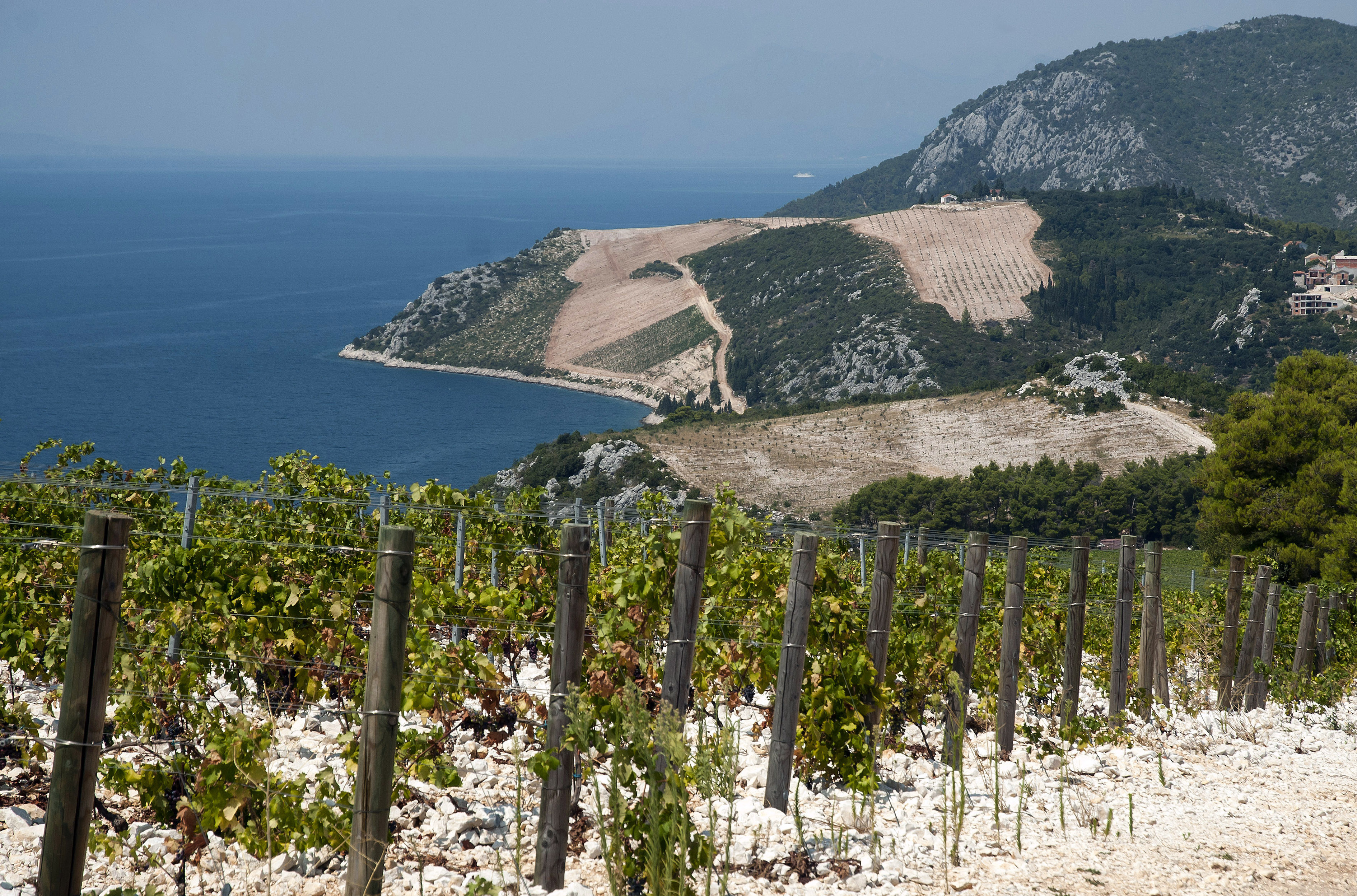 vinogorje_komarna5-120813