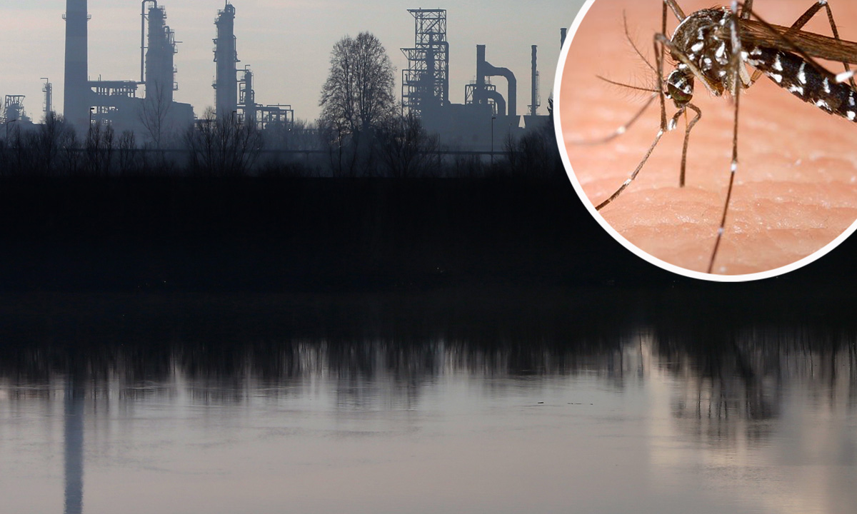 Bosanski Brod i komarac 