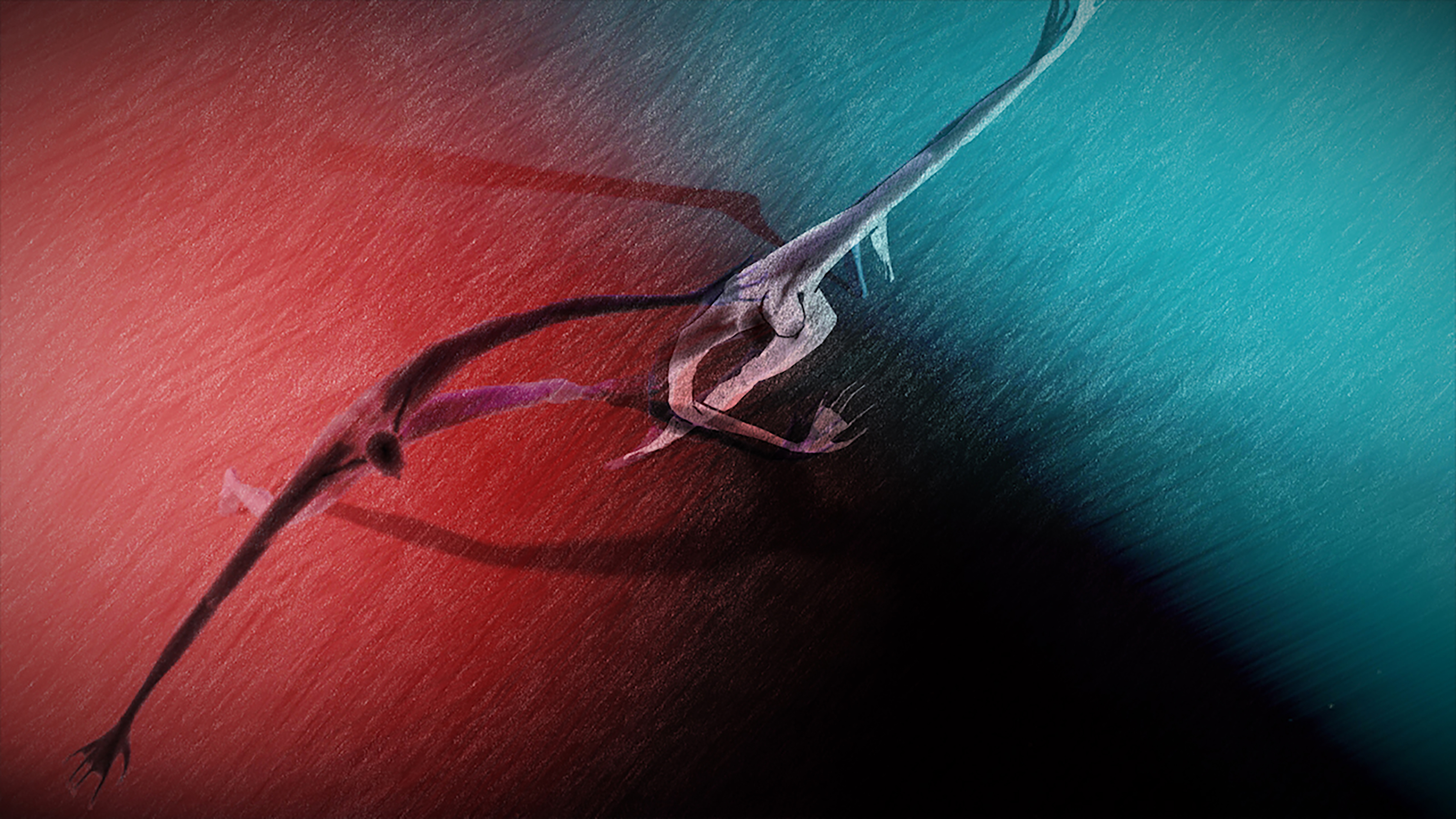 'Plesni eksperimenti' njemačke autorice Melanie Beisswenger