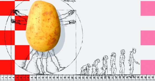 Hrvati_istrazivanje_final