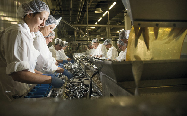 postira_sardina13-120714