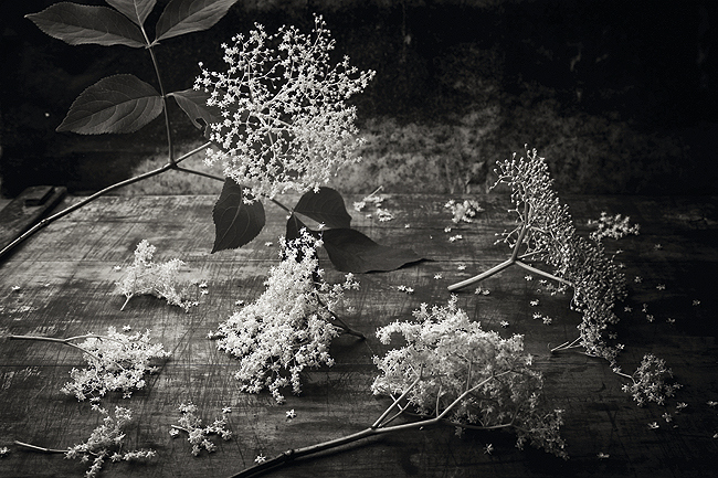 Photo&copyright
MARIO KUCERA