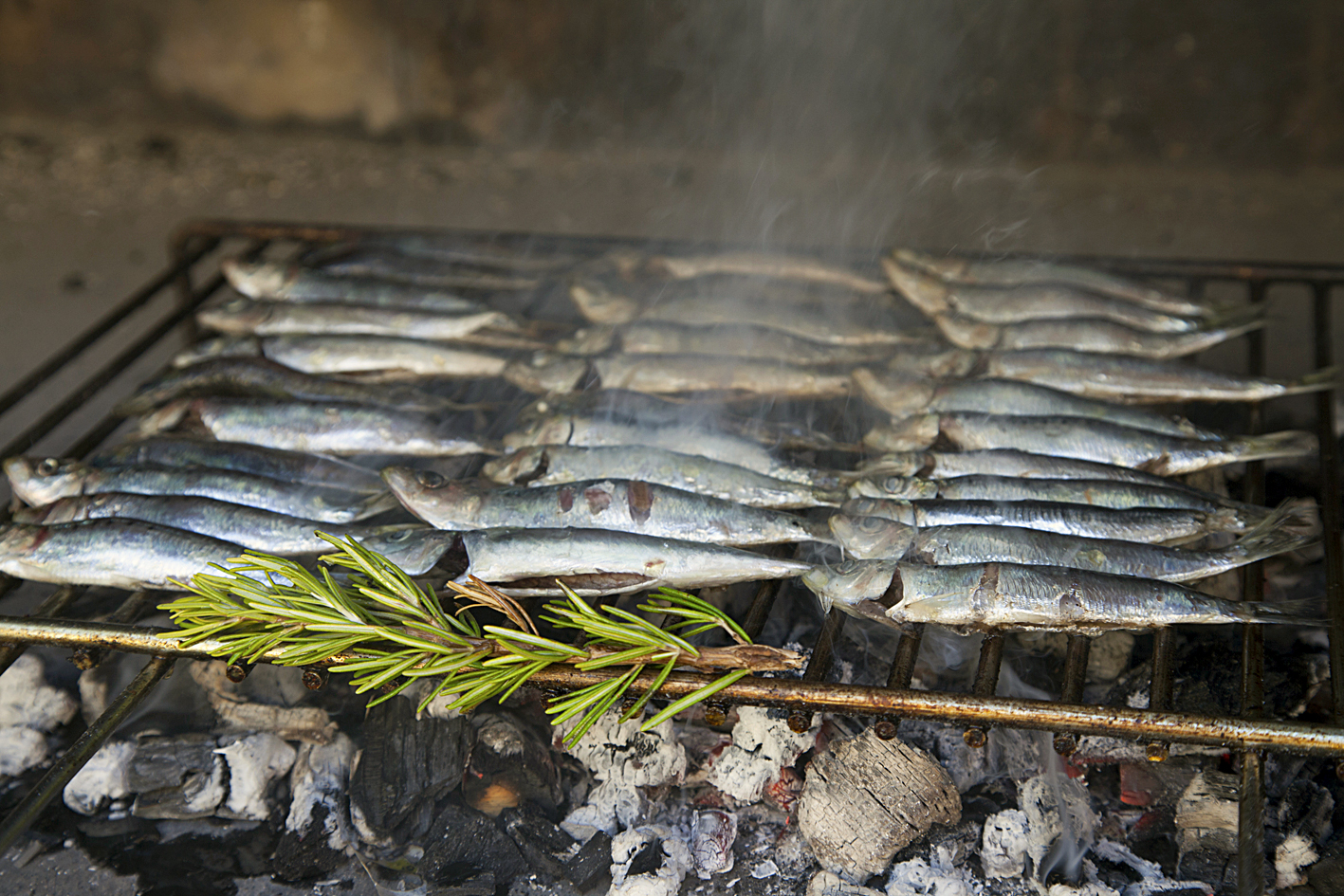 Fresh Mediterranean fishes on BBQ