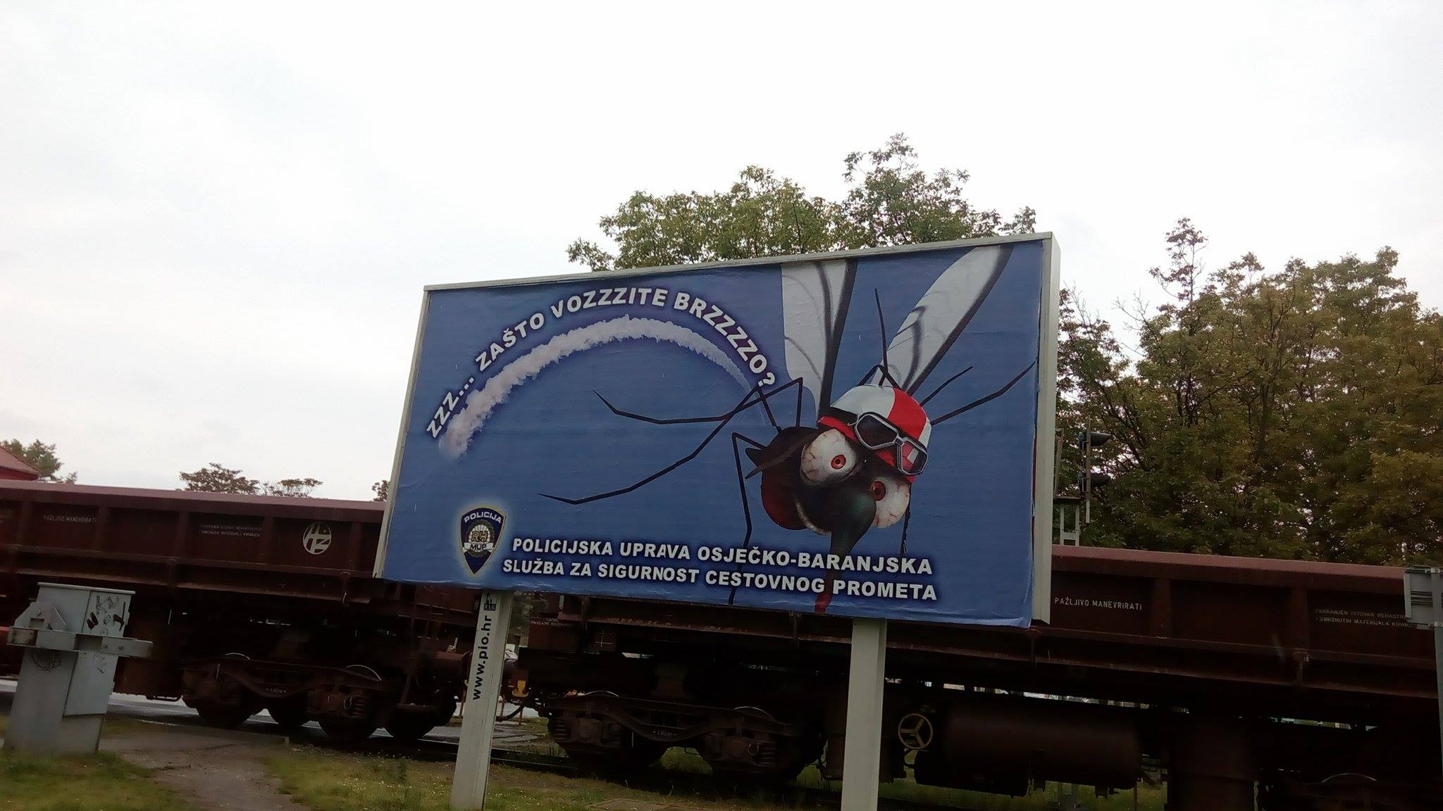 13161411_10209528138110468_455105121_o