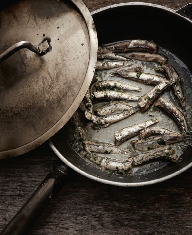 bracka-filozofija-zivljenja.bin