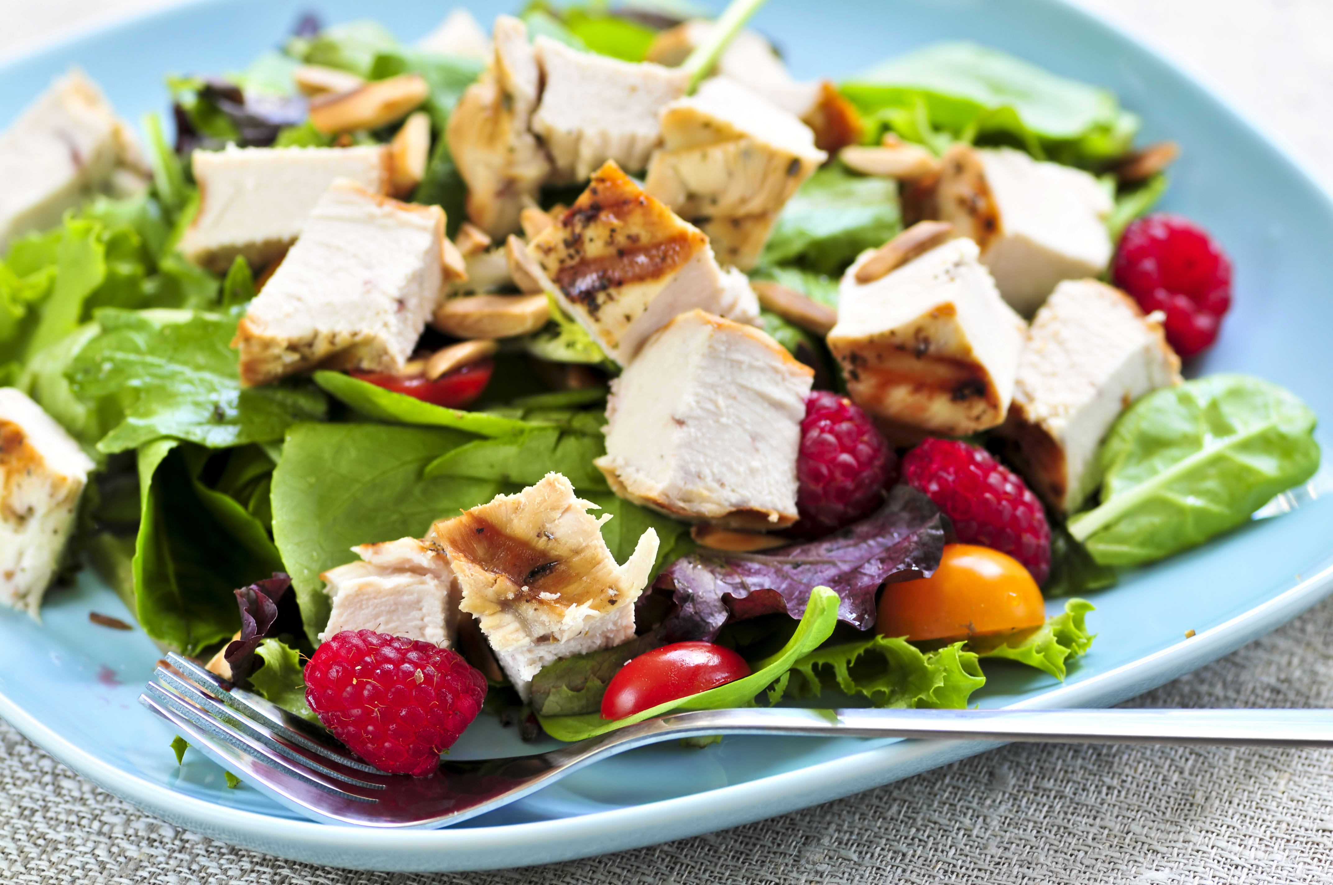 Healthy green salad with grilled chicken breast