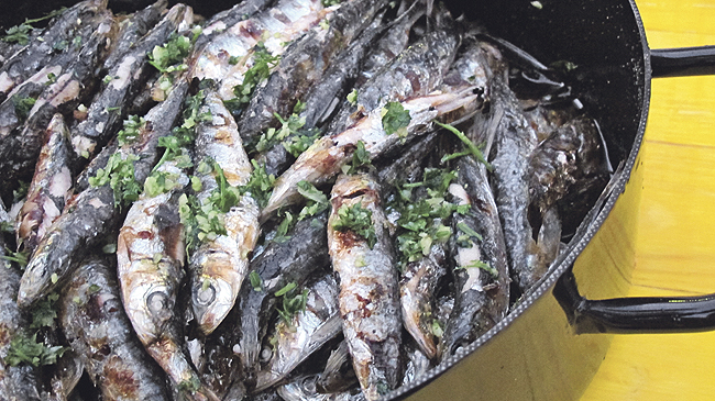 morska-spajza-23-8-na-4-st.bin