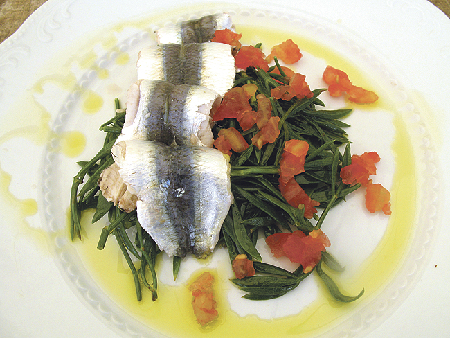 morska-spajza-23-8-na4-st.bin