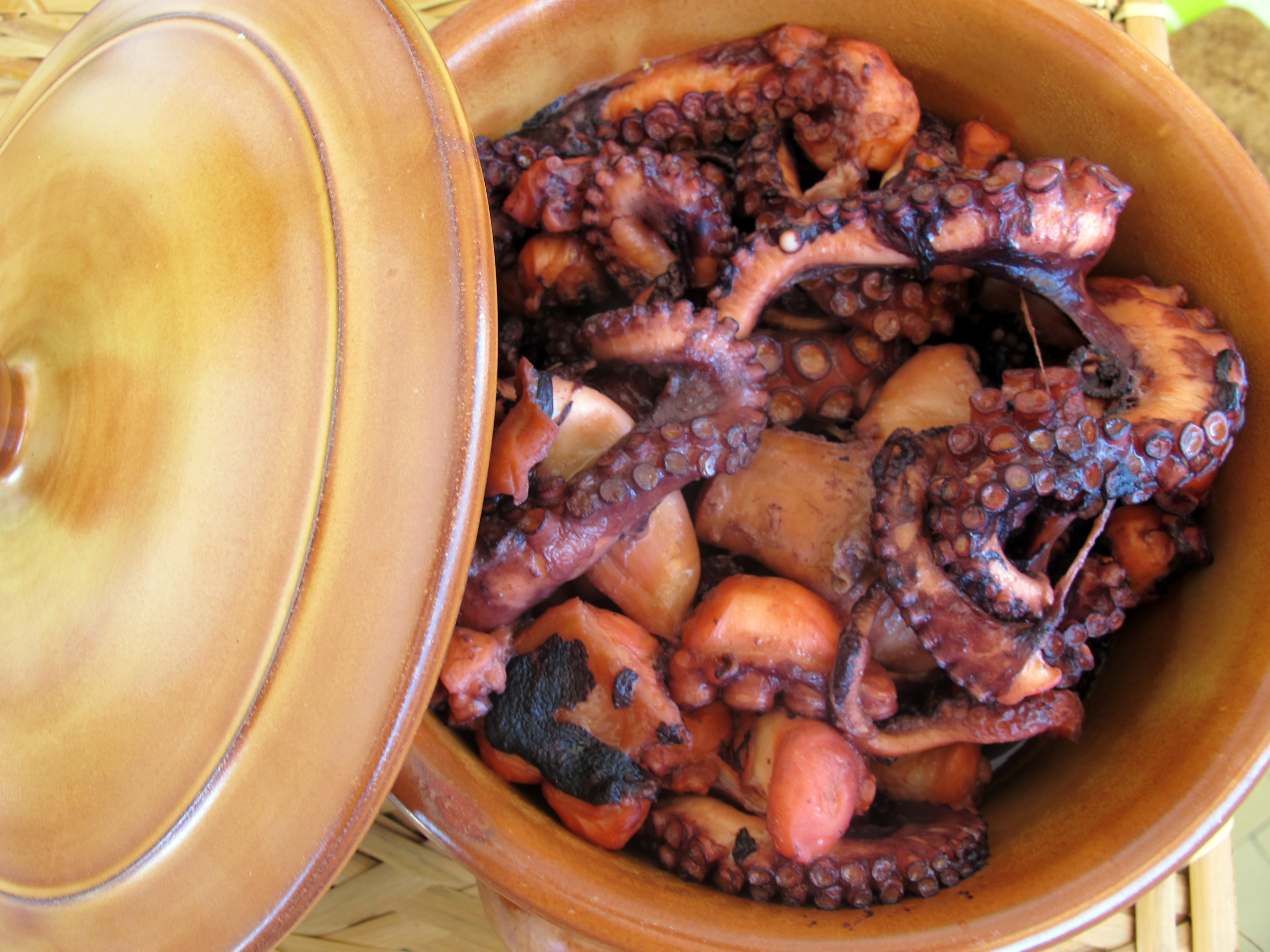 morska-spajzahobotnica-iz-ekspres-lonca-3-3.bin