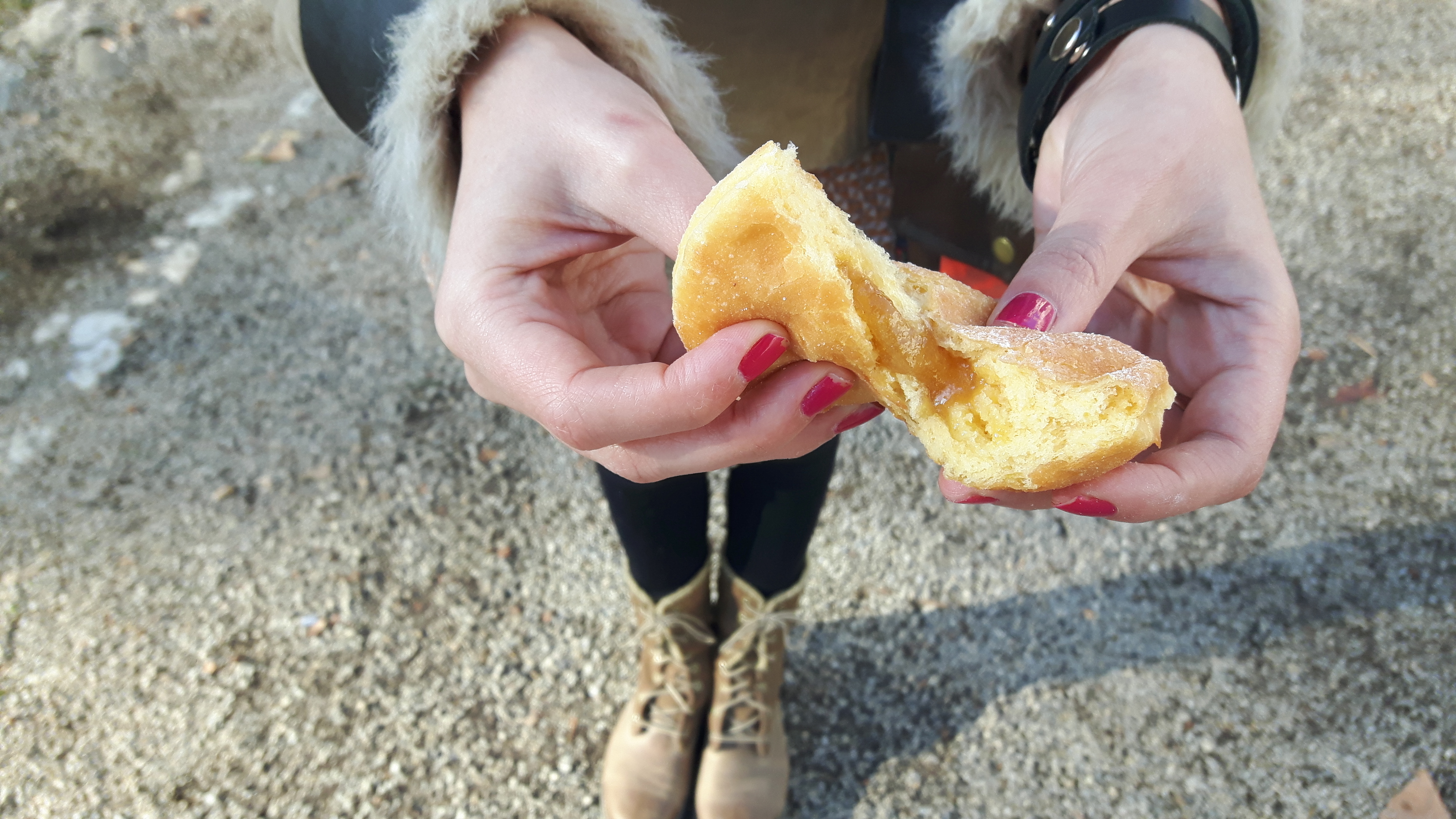 20160205_1001551.bin