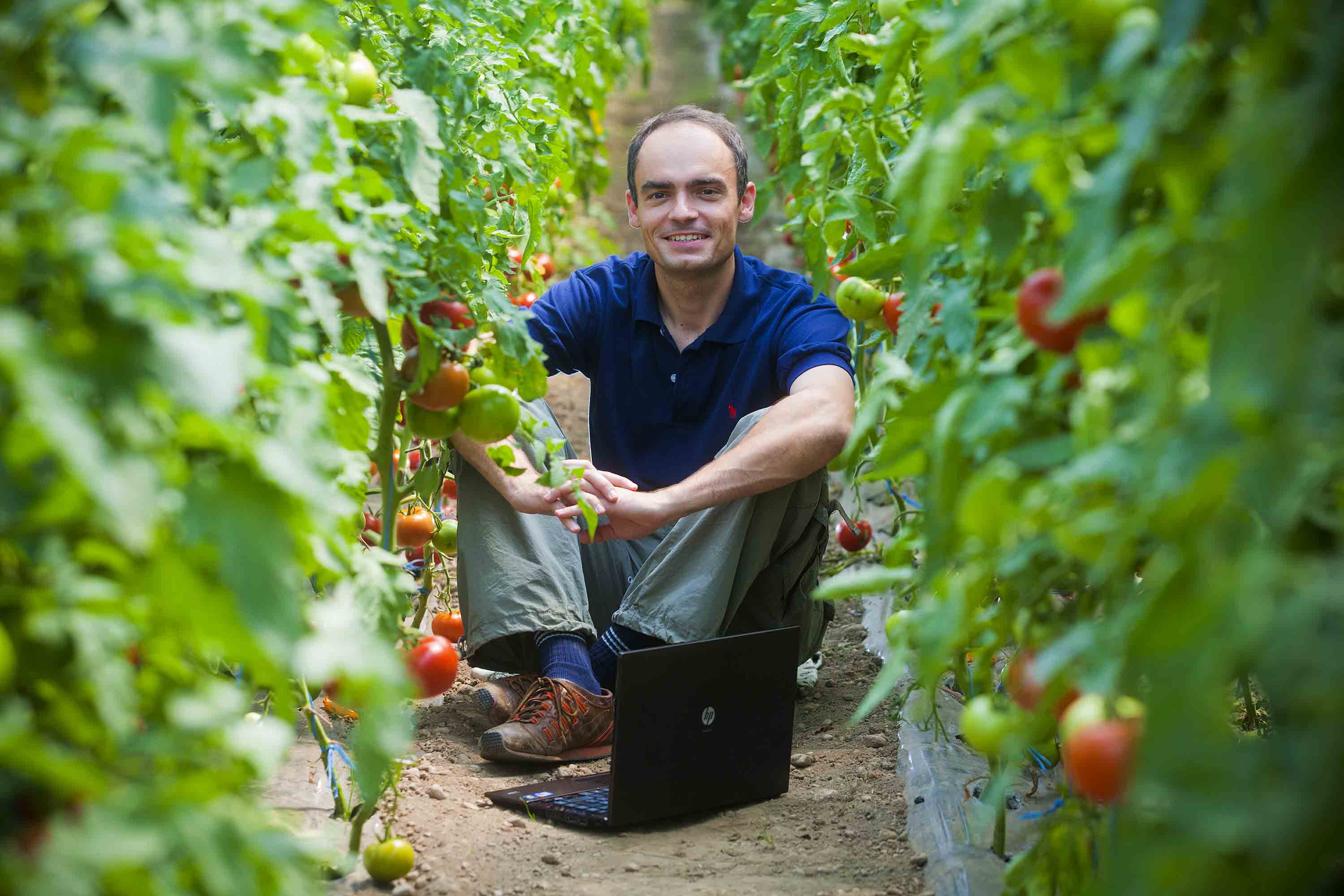 Zagreb, 010811.
Hrvoje Kolman osnivac je internetske trazilice Finoteka.
FINOTEKA.com je centralno mjesto trzista domace hrane s vise od 500 proizvodjaca iz cijele Hrvatske koji uz pomoc spomenute trazilice trzistu nude svoje proizvode. 
Na slici: Hrvoje Kolman u svom plasteniku sa paradajzom.
Foto: Neja Markicevic / CROPIX