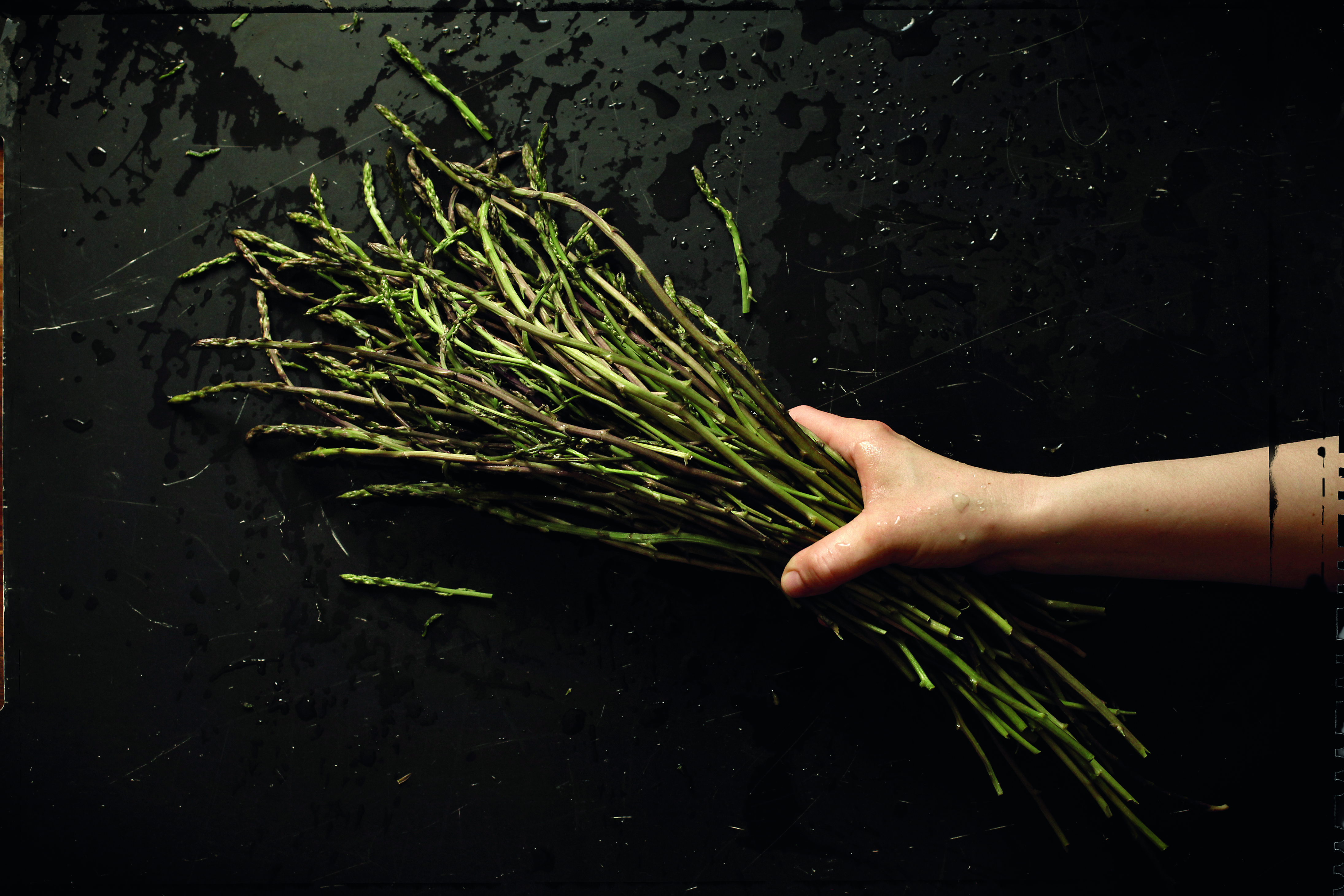 sparoge-dh-izbor.bin