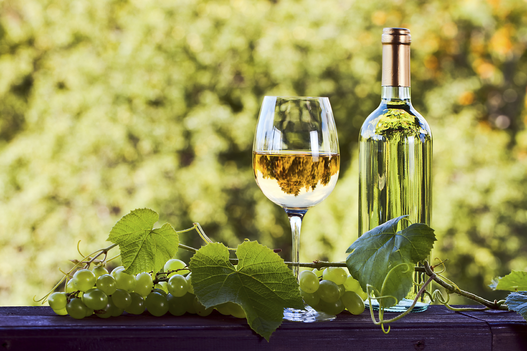 green grape and white wine in vineyard