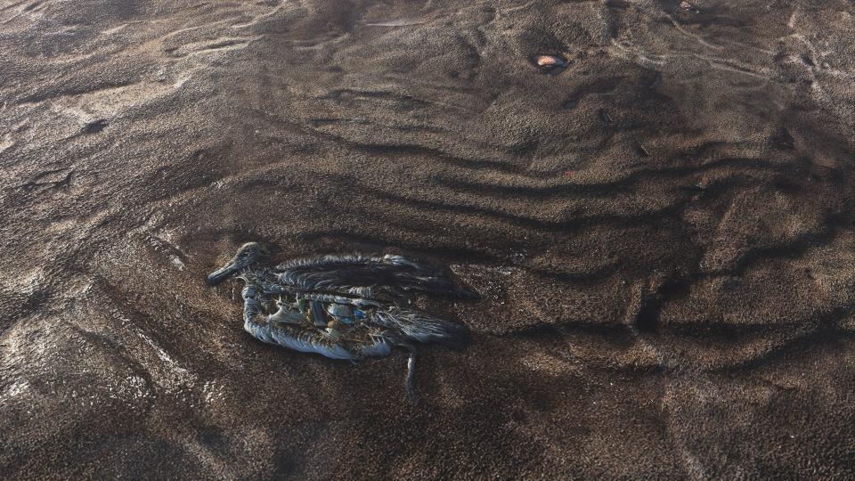 fallout-4-teksture_1.bin