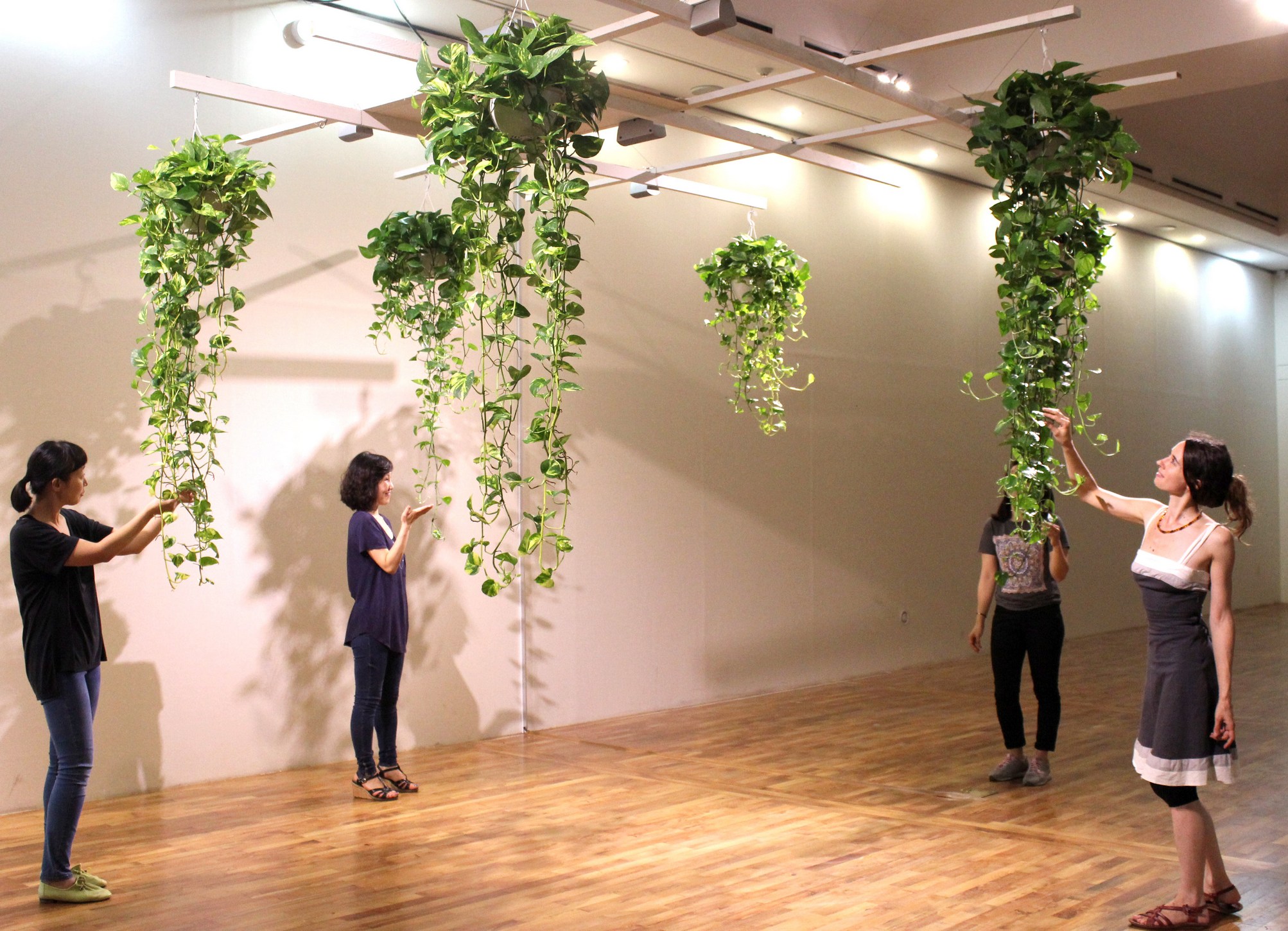 Francuski umjetnički duo Scenocosme