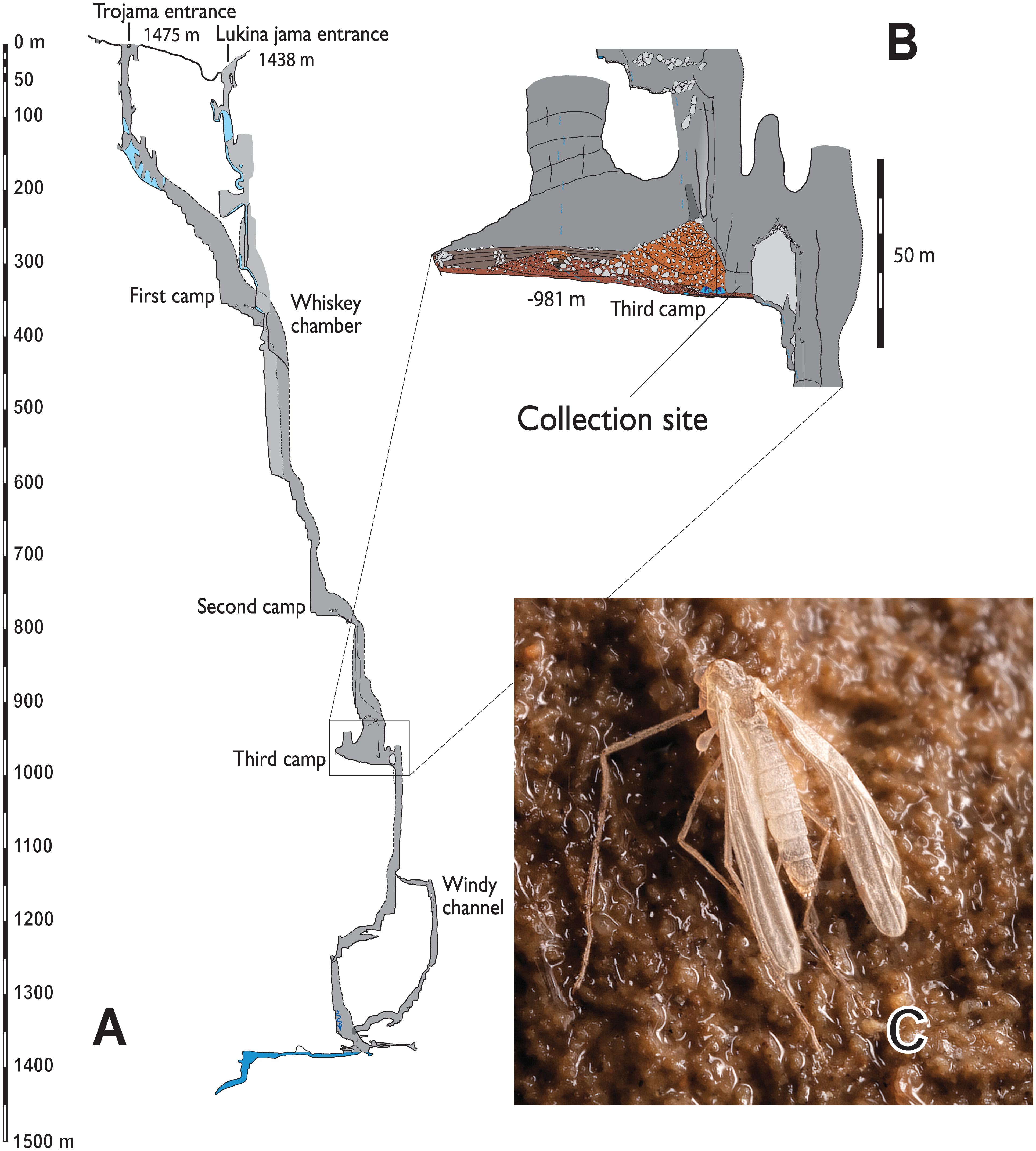 journal.pone.0152884.g001