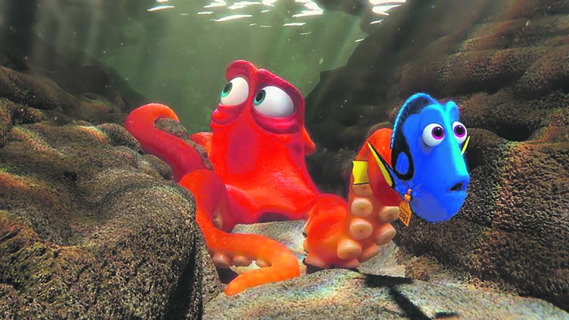 63576-81852-potraga_za_dorom_scena