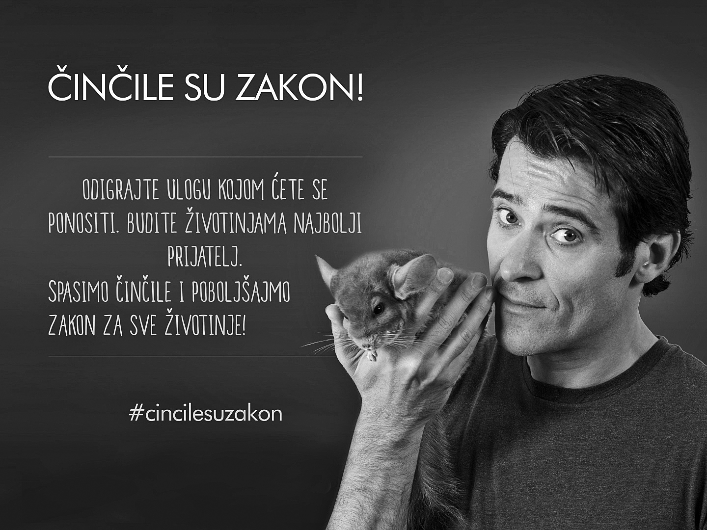 64242-82742-Cincile_su_zakon_poruka_Gorana_Visnjica