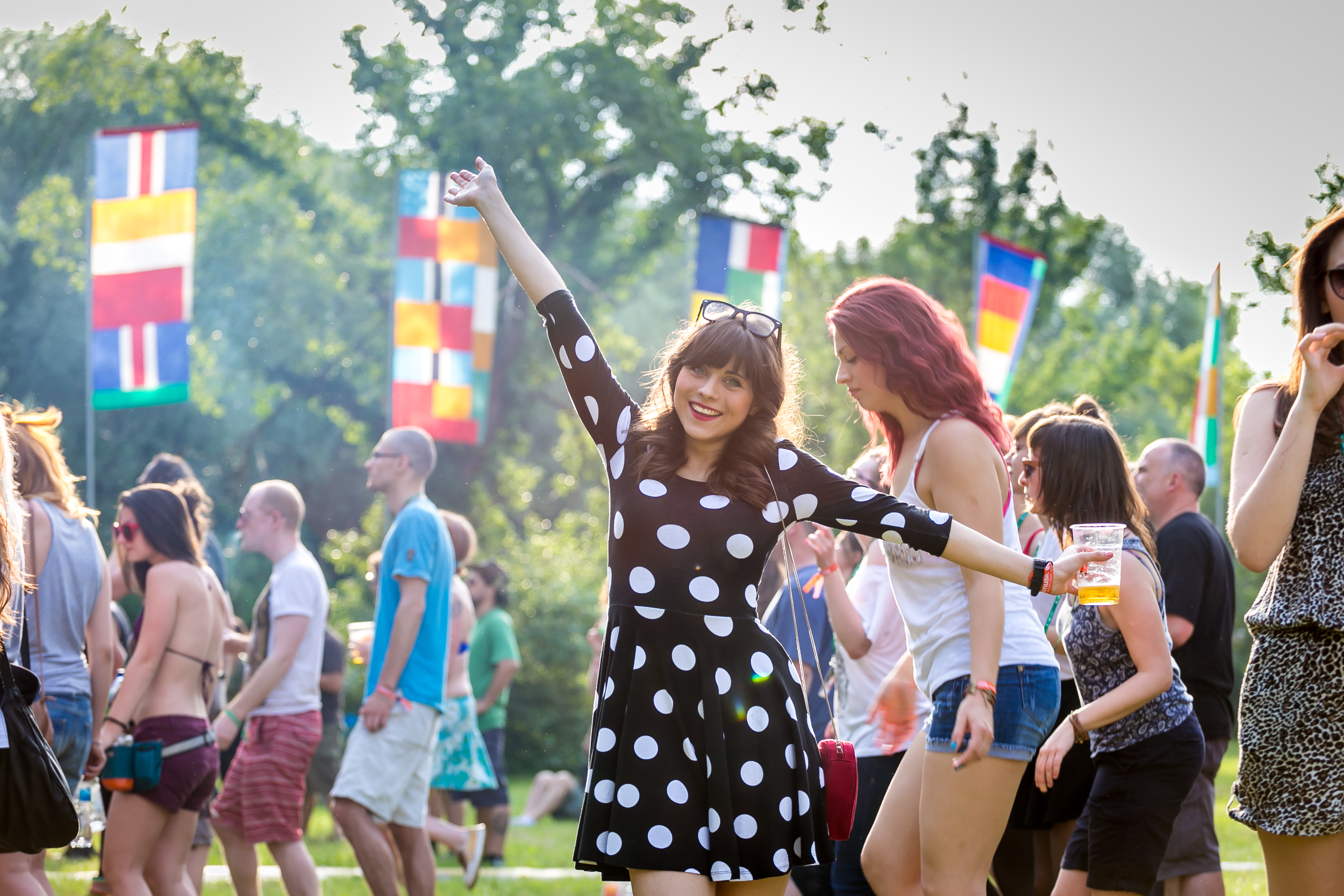 INmusic festival (Julien Duval photo) (2)