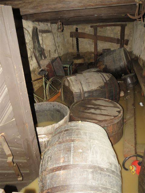 13432332_884602524999778_1560673866161306504_n