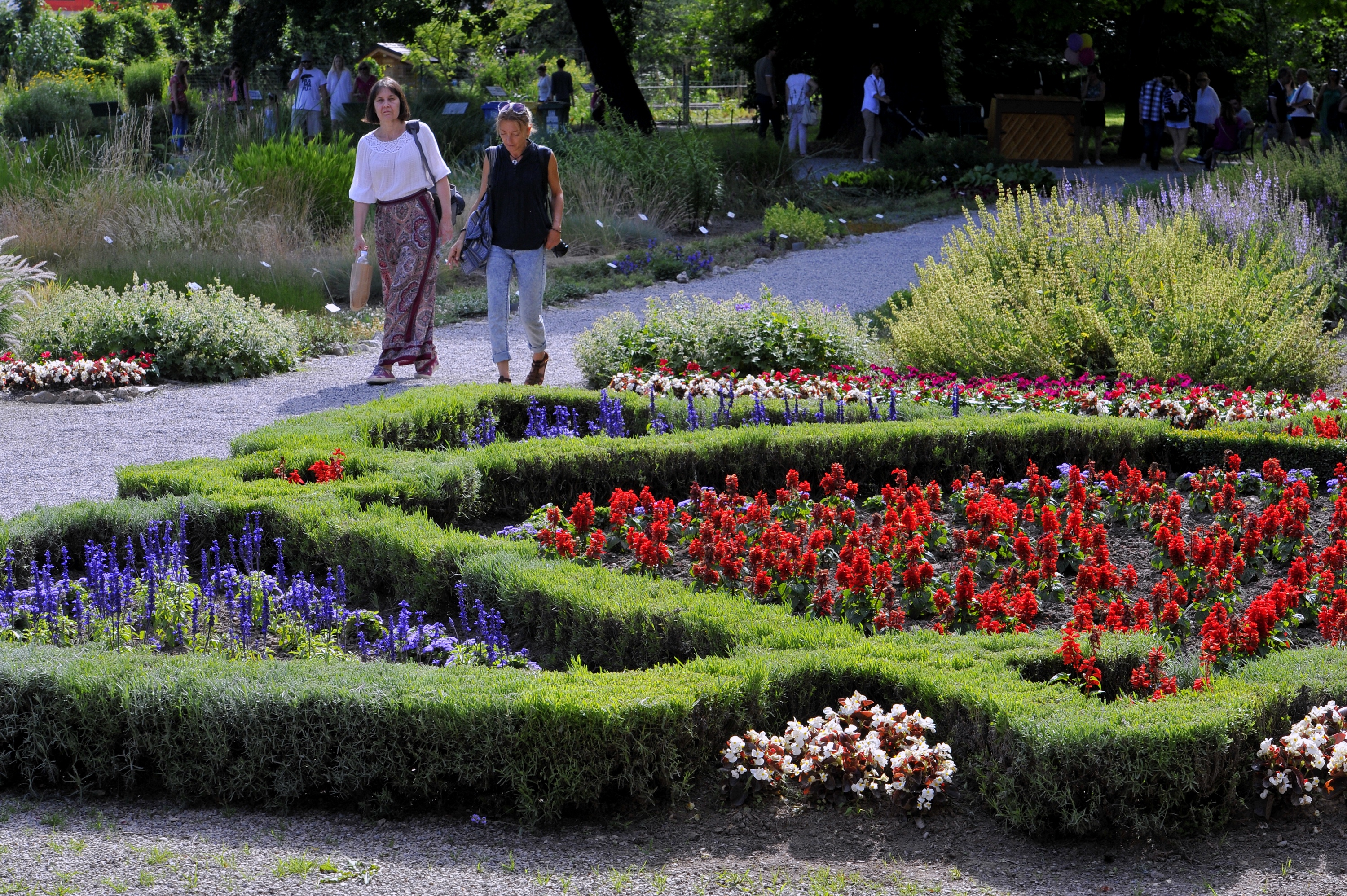 botanicki_vrt10-180616