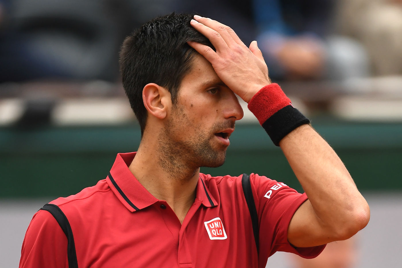 glavna djokovic_1