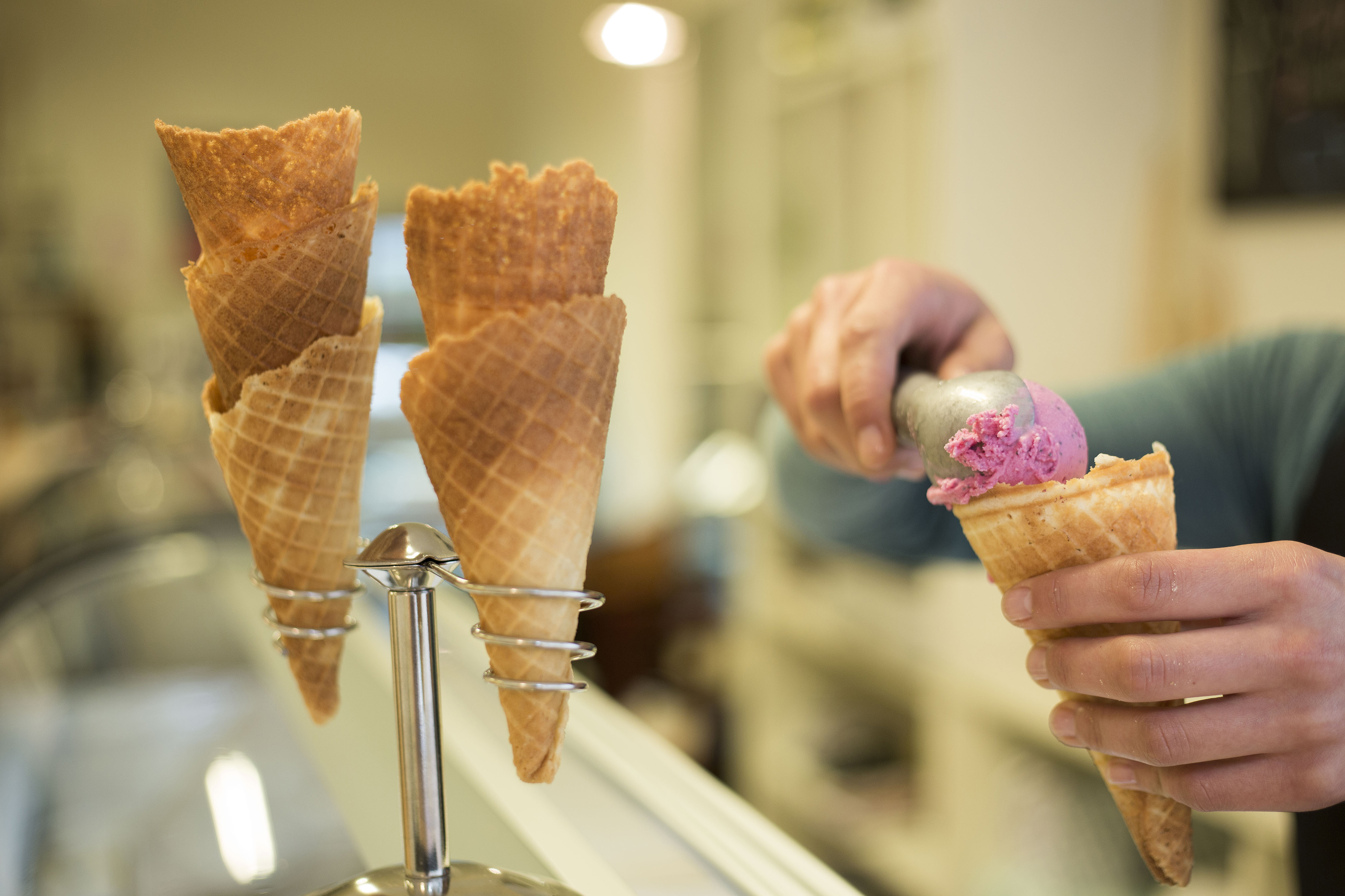 Ivana Baković osmislila je sve kolače i proizvela nekoliko desetaka vrsta sladoleda na potpuno prirodnoj osnovi.