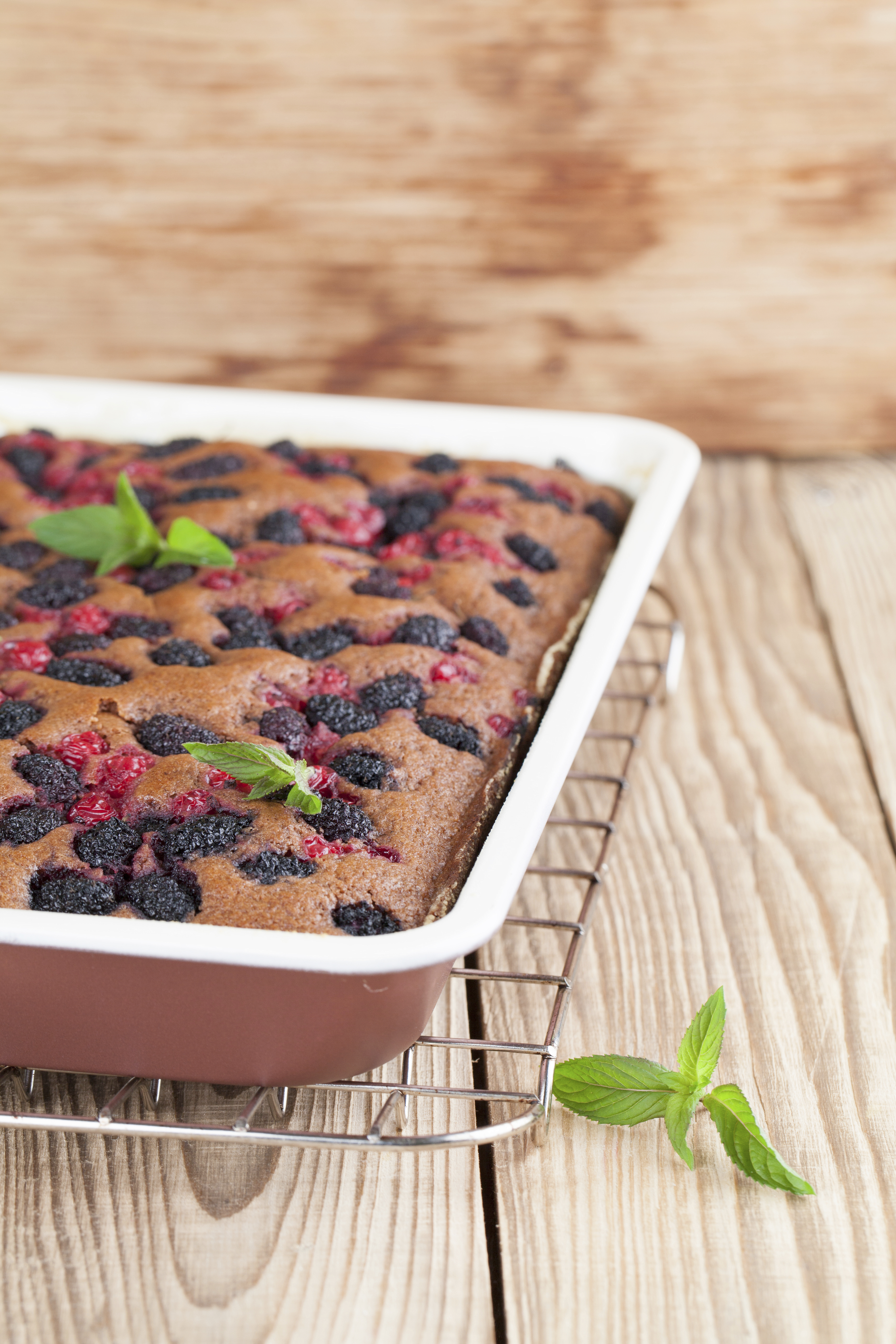 iStock_92819617_XLARGE