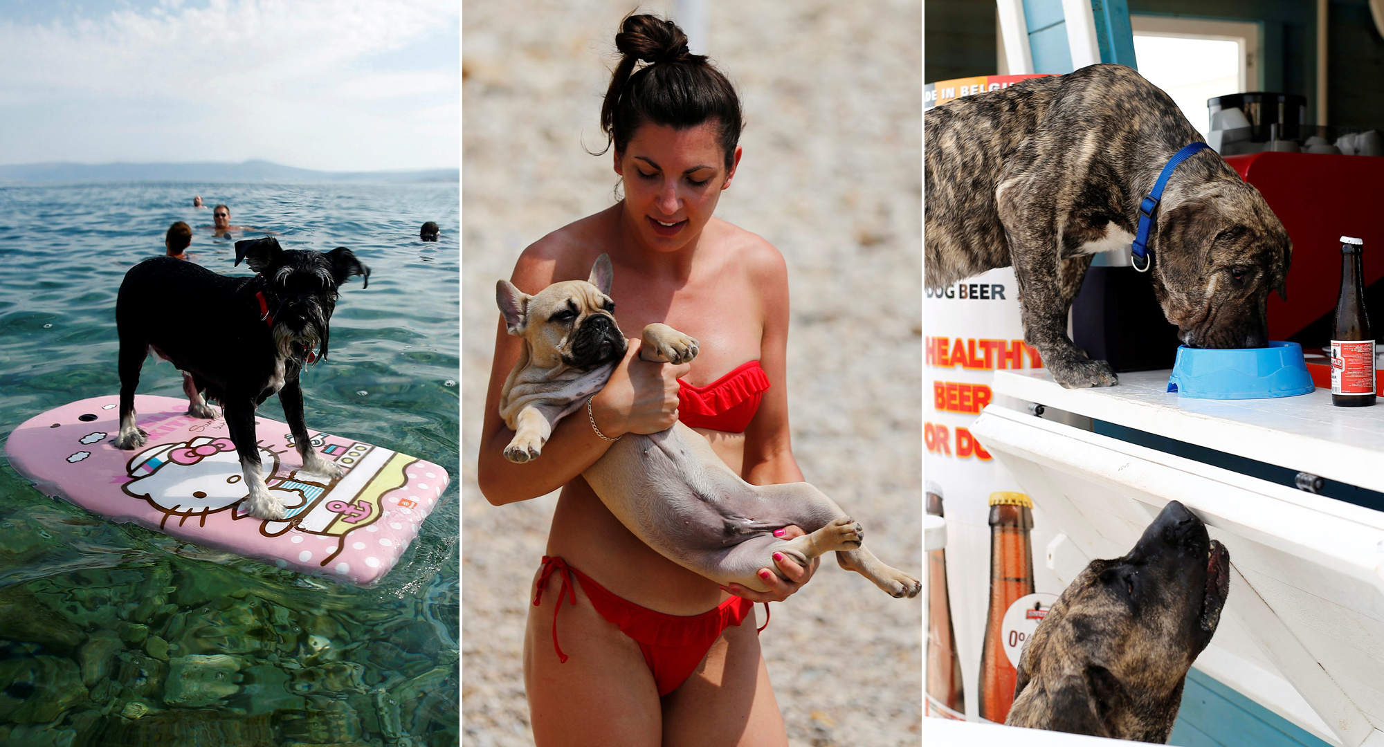 Monty’s-Dog-Beach-Bar