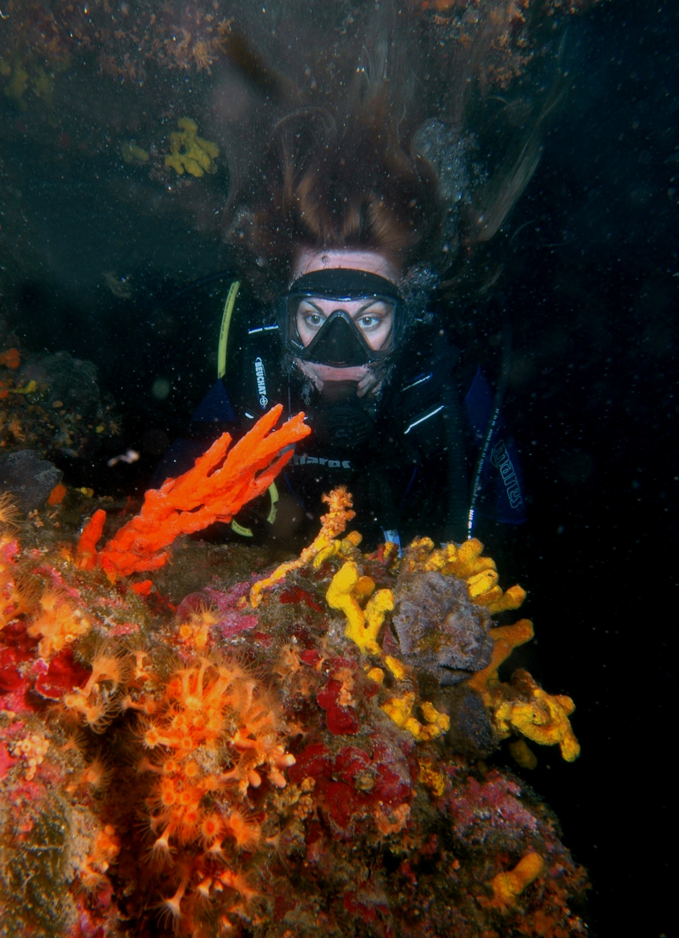 ronjenje_more11-010716