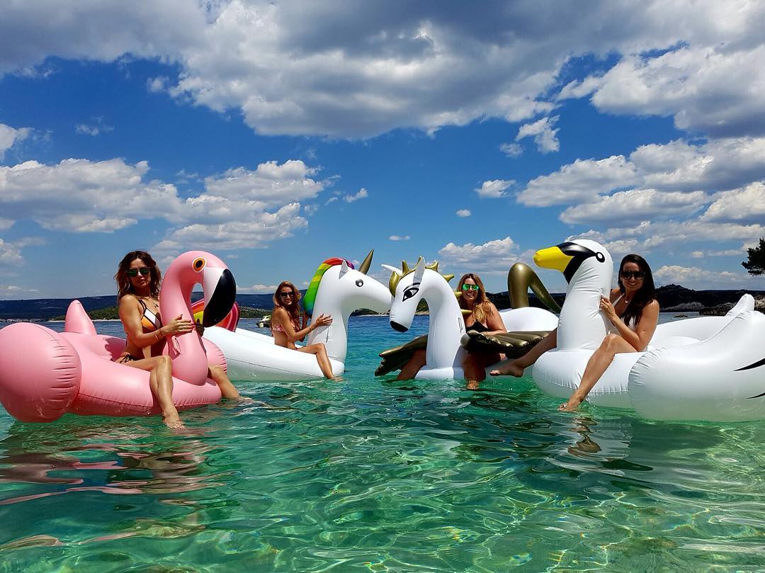 13774584_1927131090847166_1946078132_n