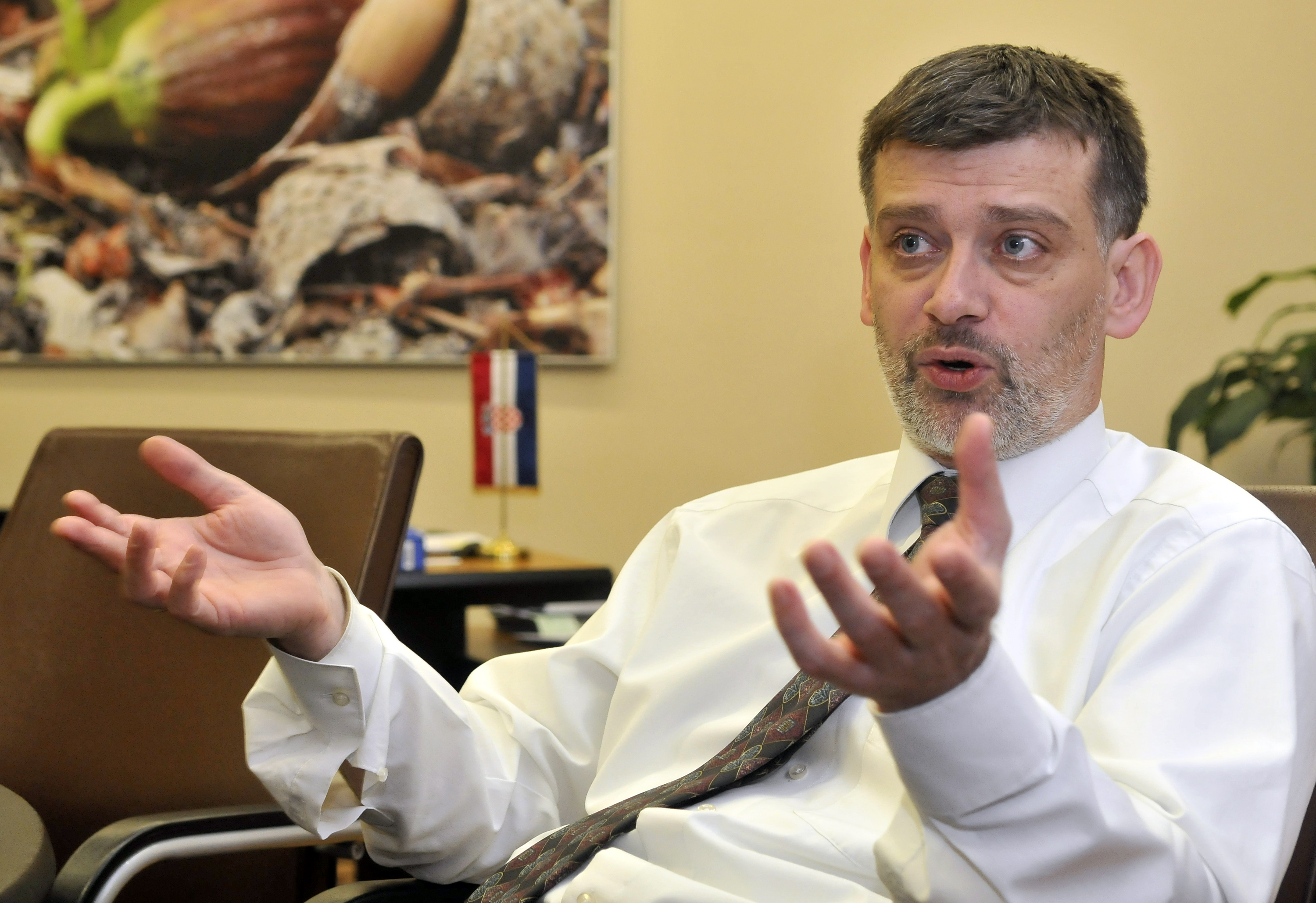 pavelic_sume6-030212