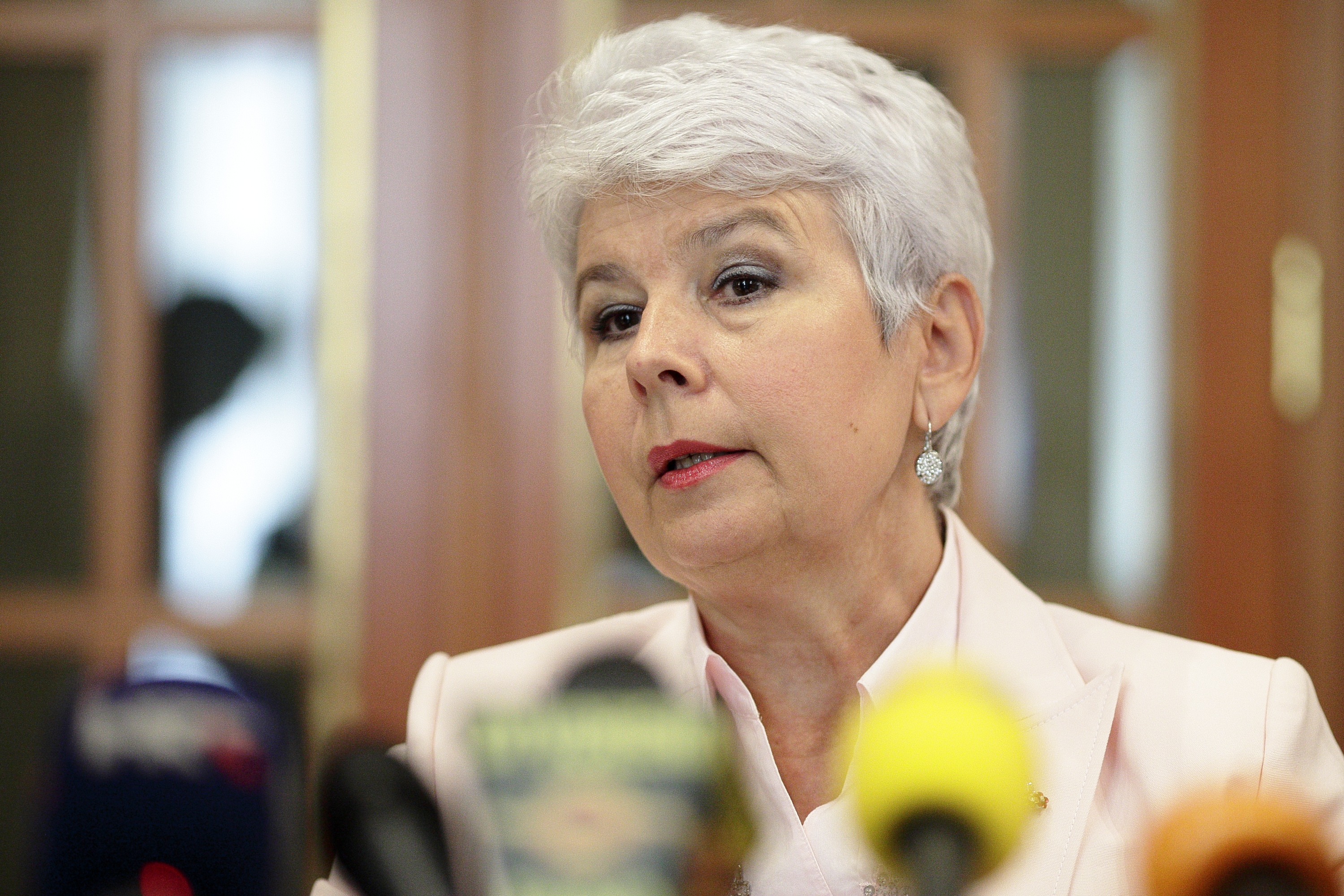 gong_zastupnici2-150914