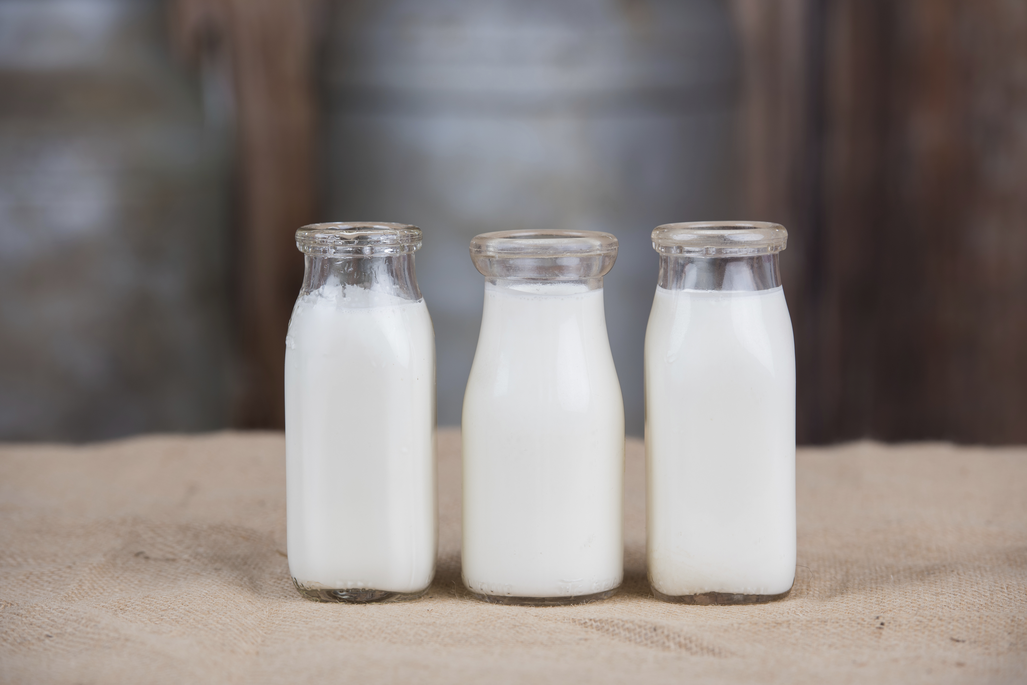 iStock_88272573_XLARGE