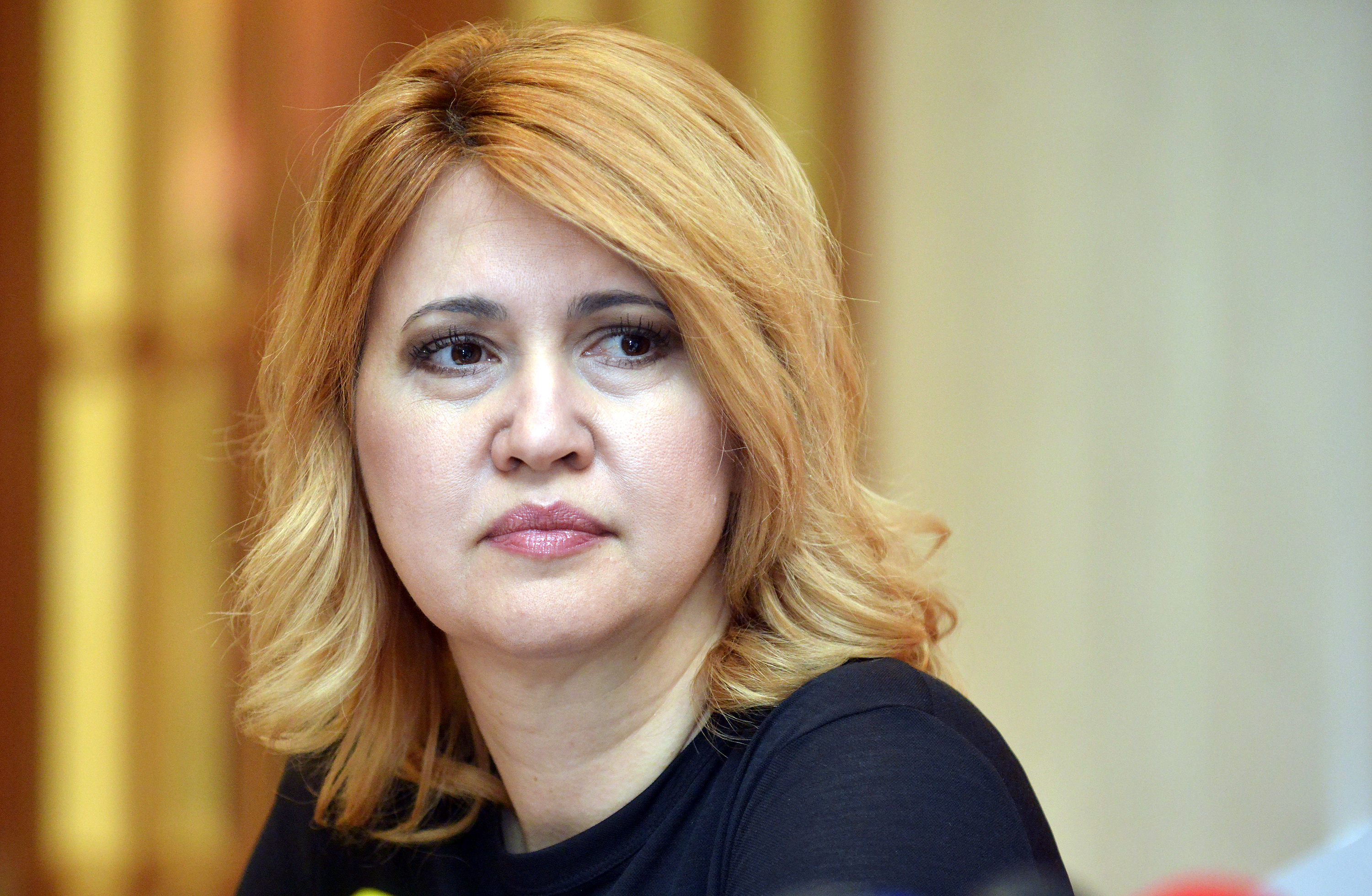 sdp_konferencija8-110316