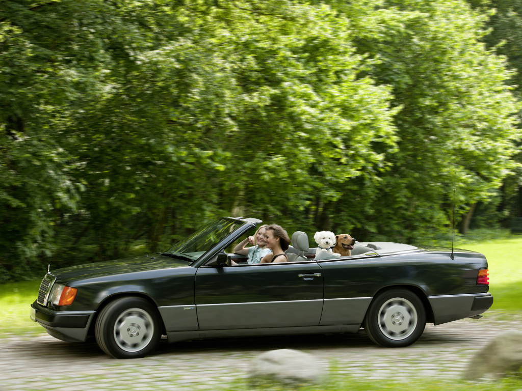 autowp.ru_mercedes-benz_300ce_cabrio_7