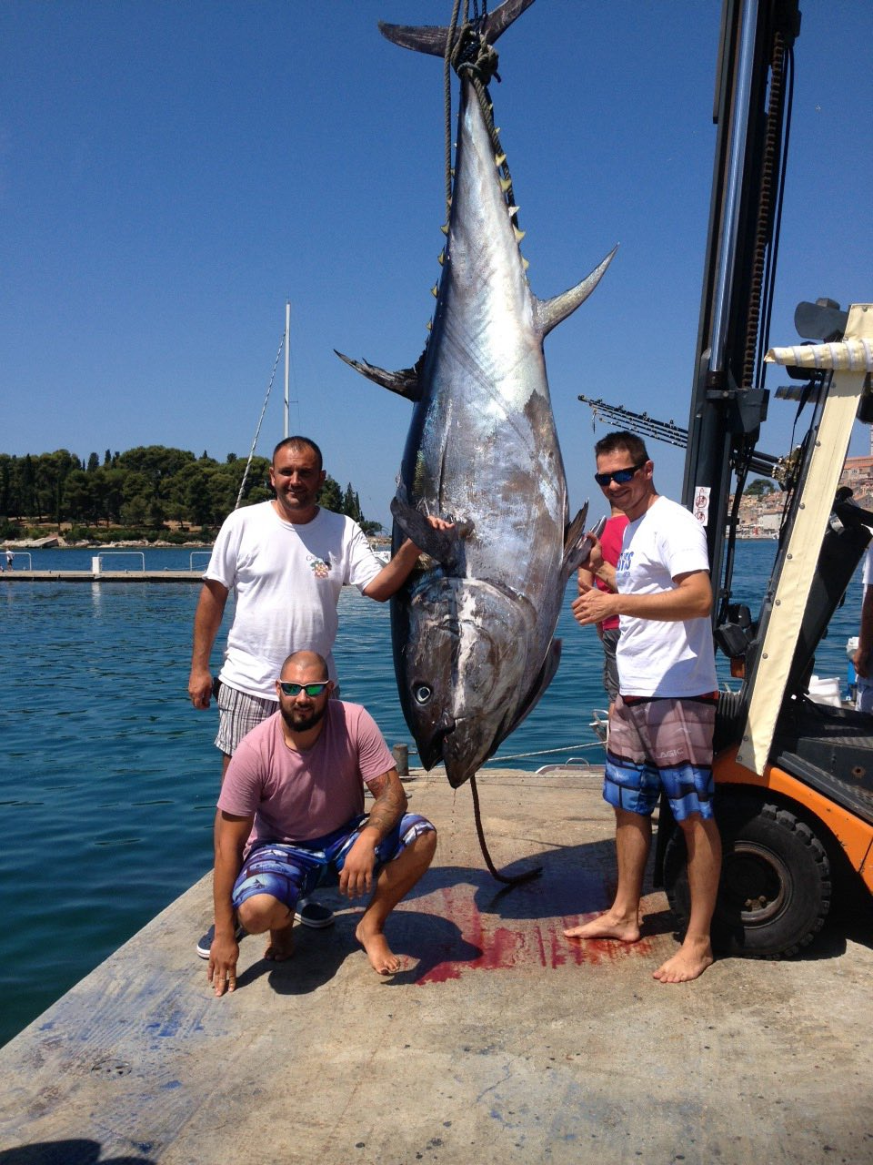 Croatian_record_tuna_2016