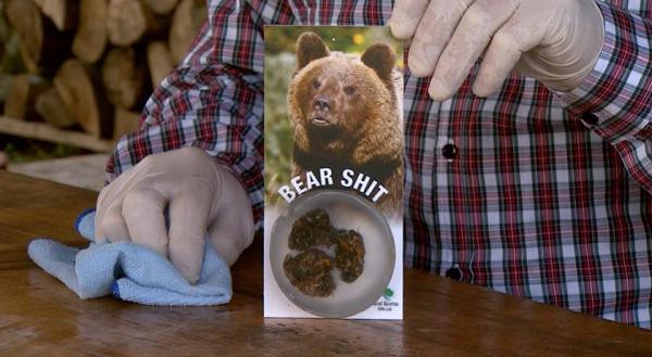 medvjed izmet danijel popović