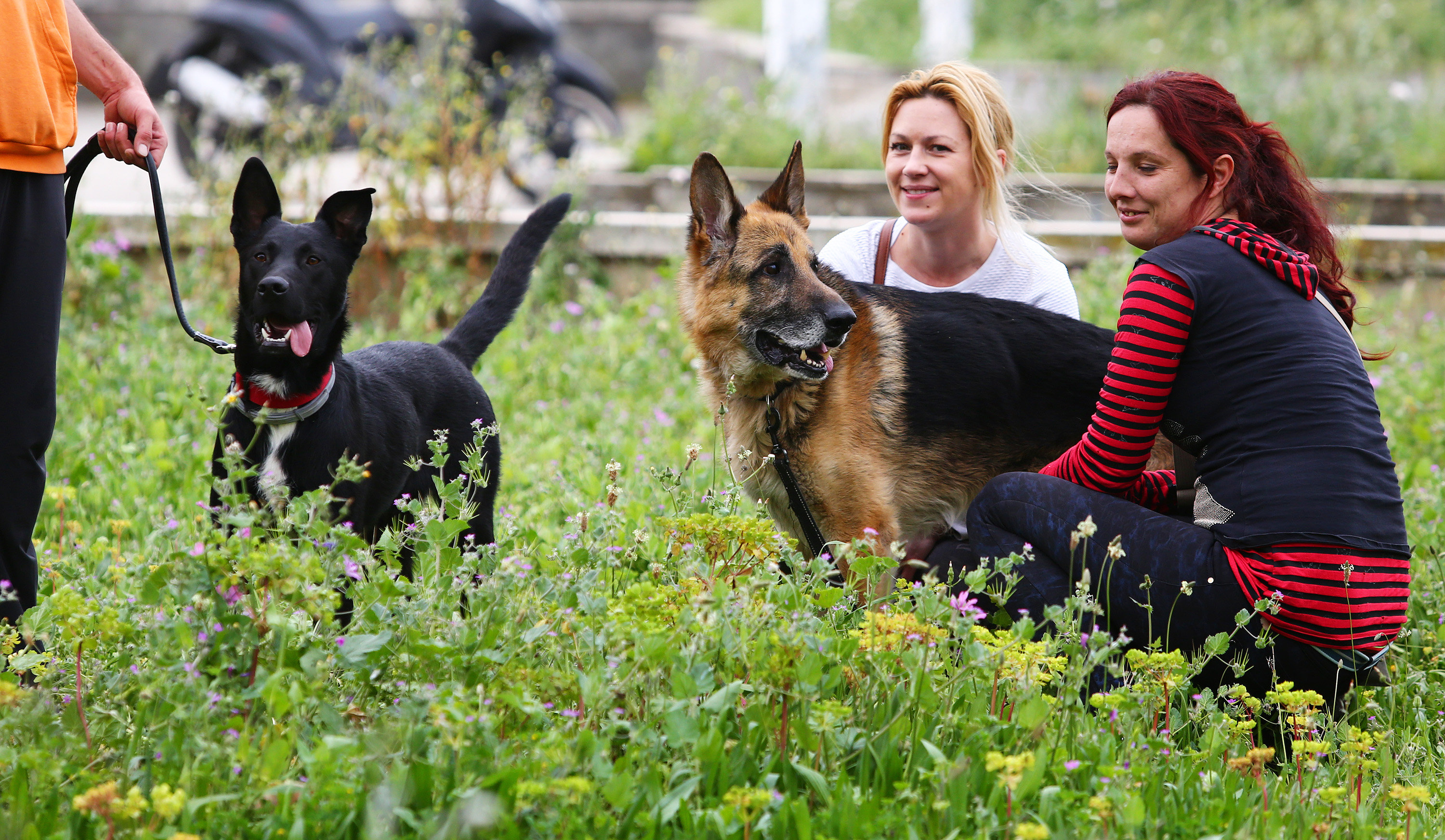 sehaliah_psi16-130416