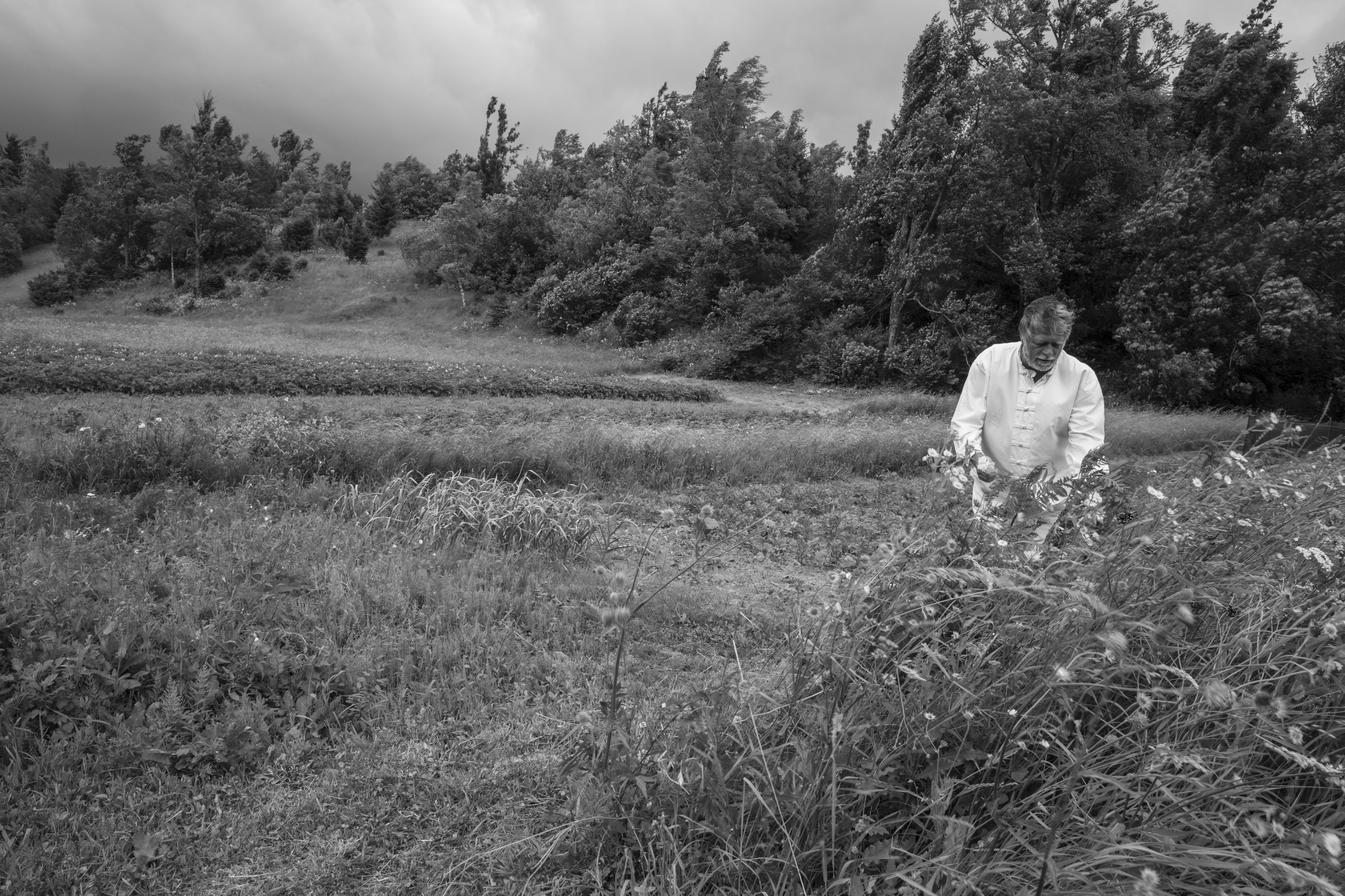 kotac_gorski_kotar7-270616