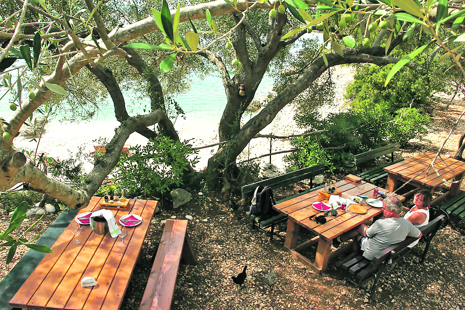 78875-102459-Unknown-3